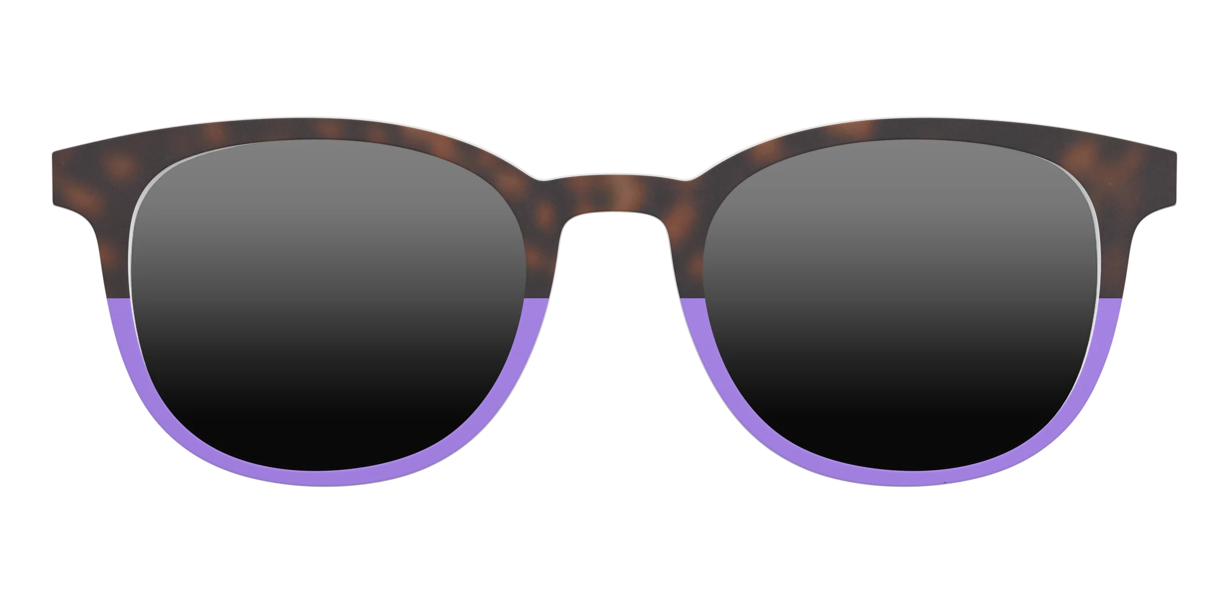 The Polarized Purple Tortoise Sun Top - Image 8