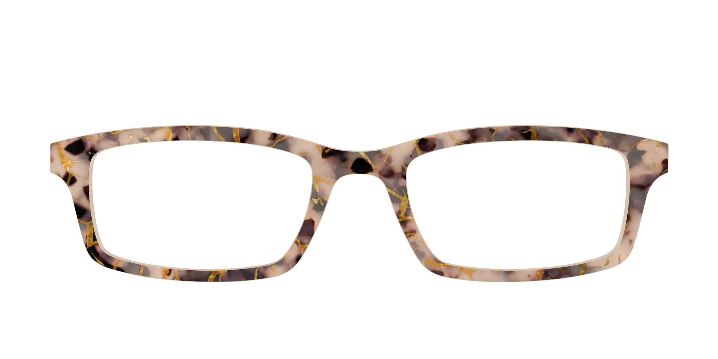The Almond Tortoise with Gold Streaks
