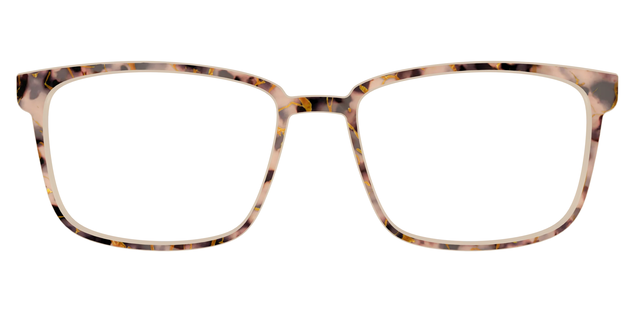 The Almond Tortoise with Gold Streaks - Image 49