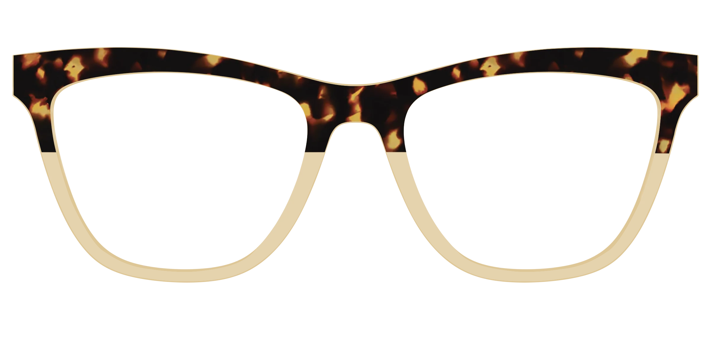 The Amber Tortoise Crystal Split - Image 29