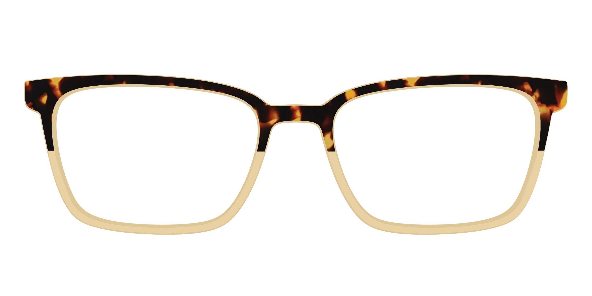 The Amber Tortoise Crystal Split - Image 45