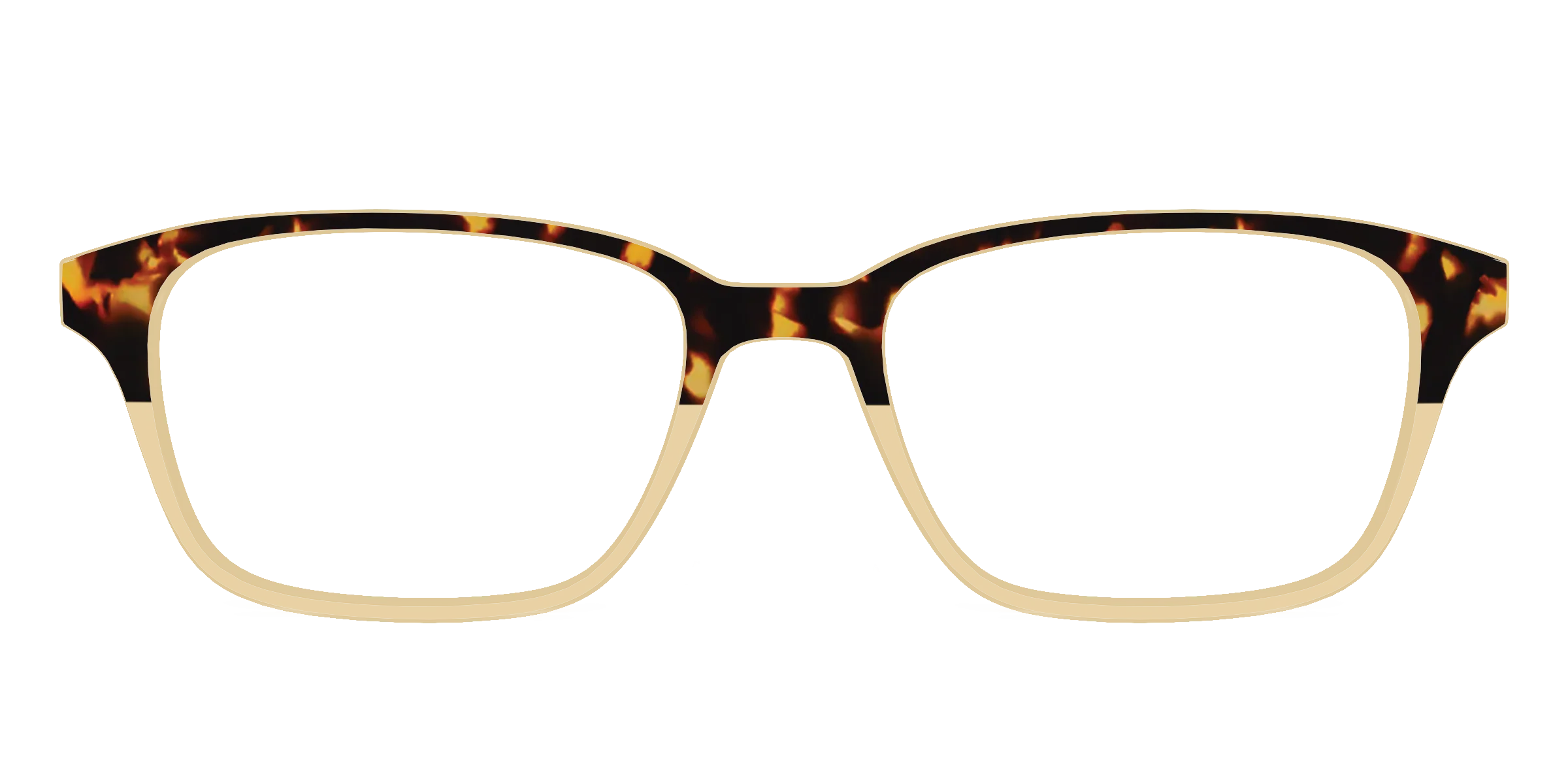 The Amber Tortoise Crystal Split - Image 55