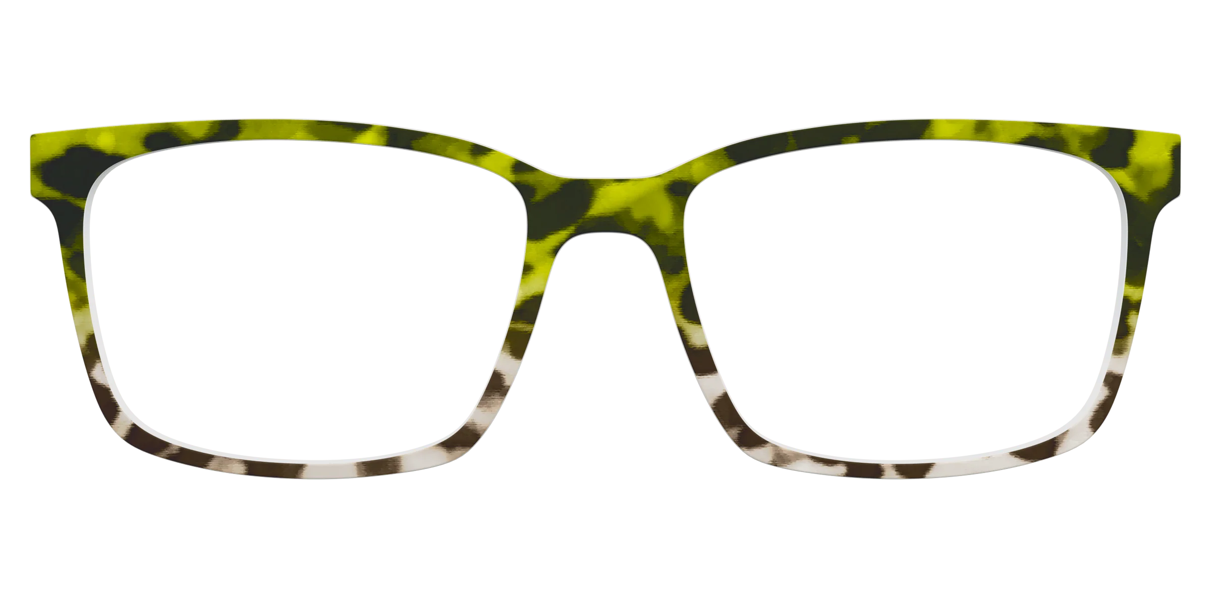 The Avocado to Ivory Tortoise - Image 11