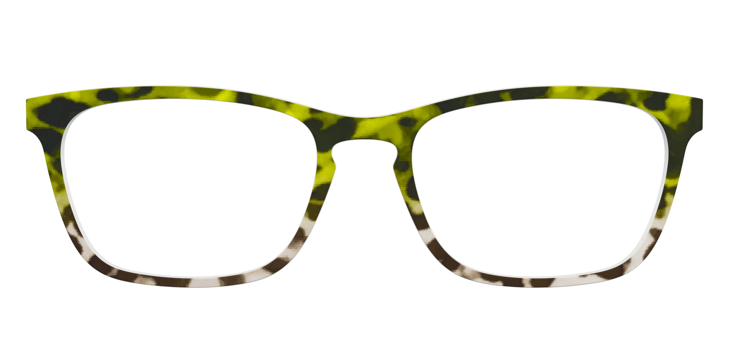 The Avocado to Ivory Tortoise - Image 13