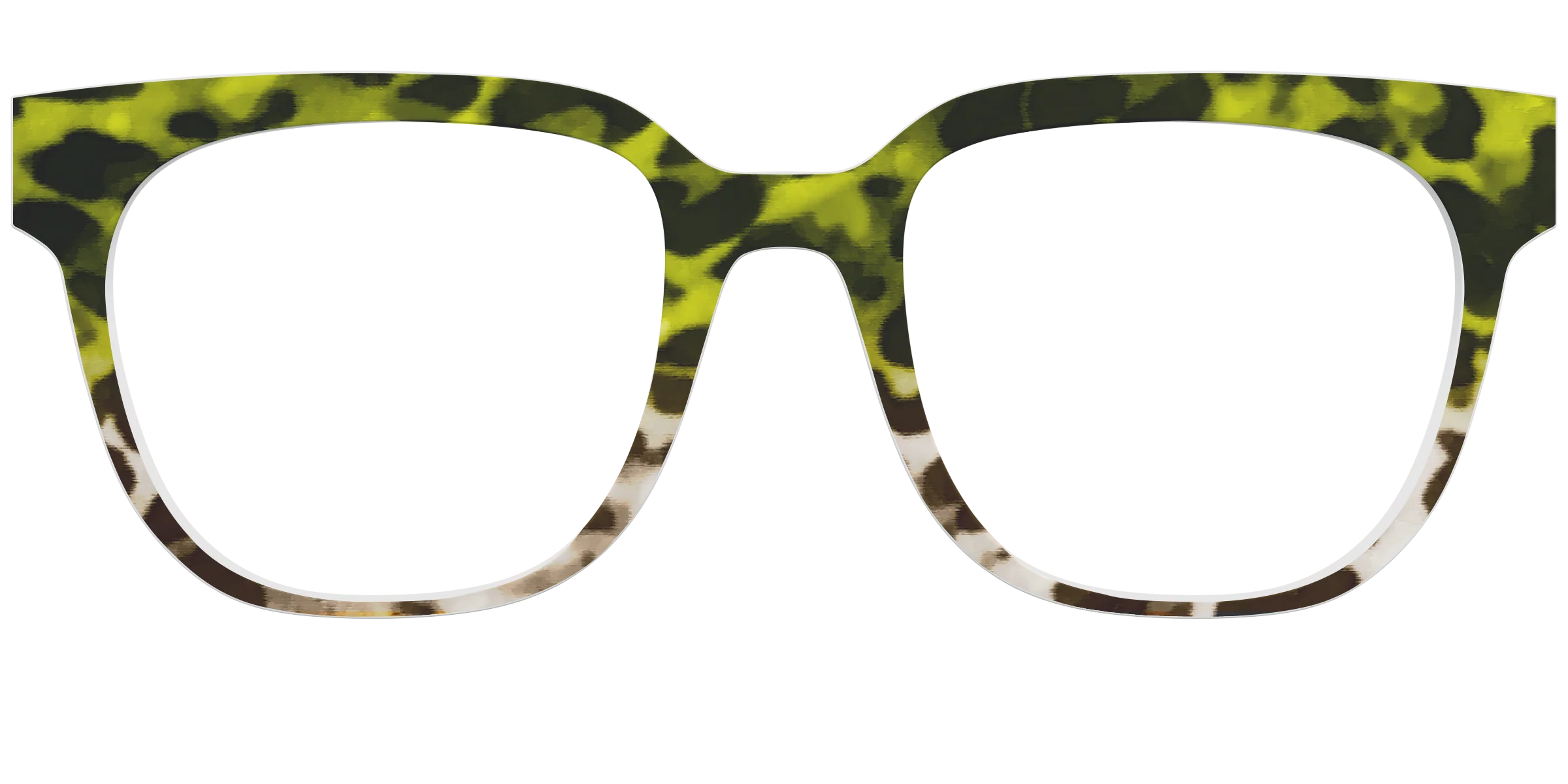 The Avocado to Ivory Tortoise - Image 25