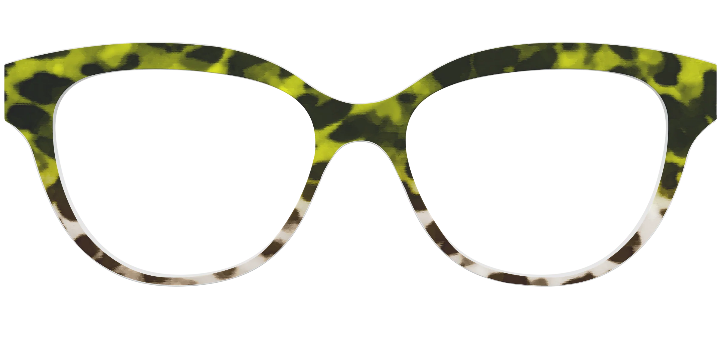 The Avocado to Ivory Tortoise - Image 26
