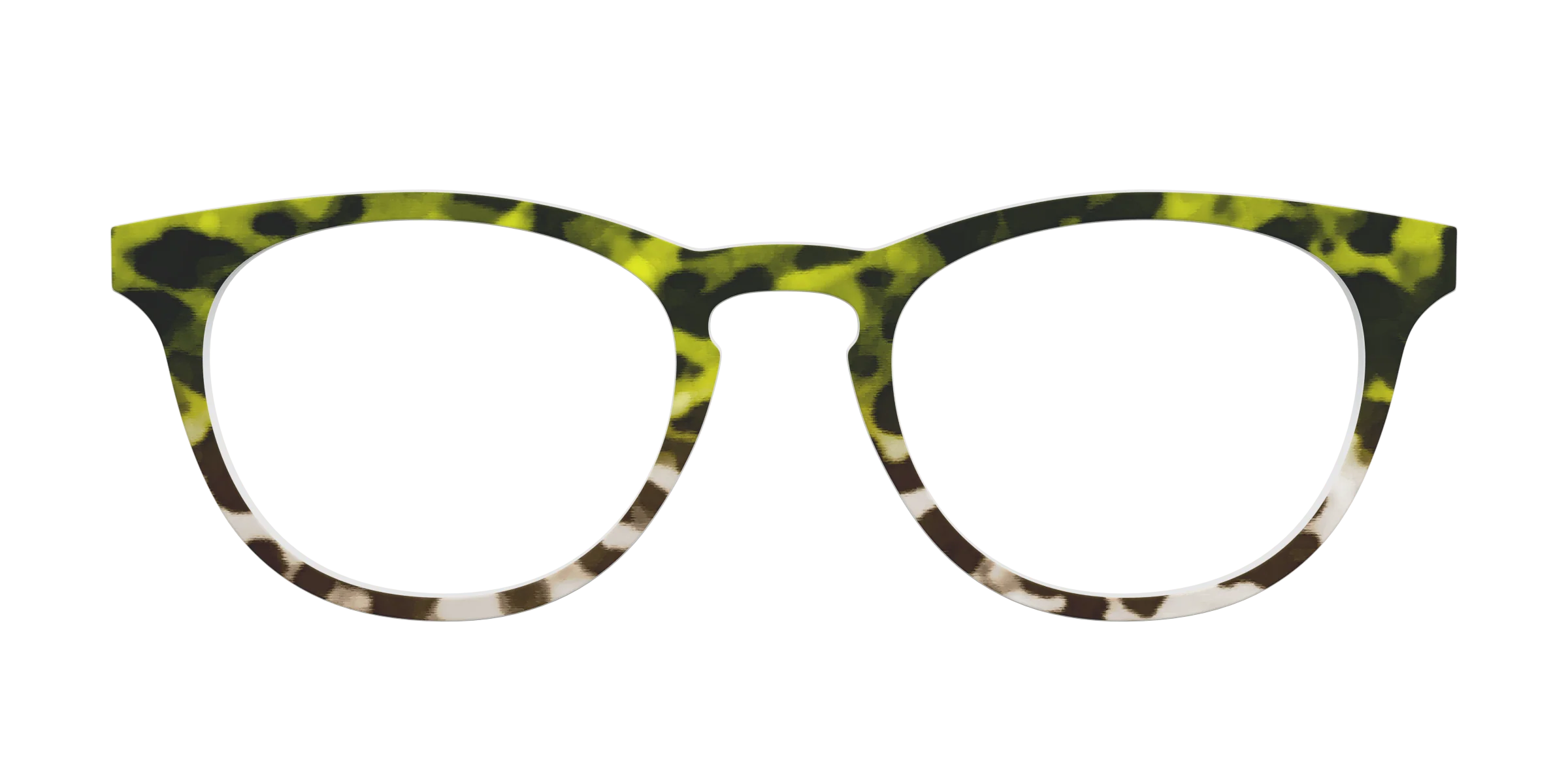 The Avocado to Ivory Tortoise - Image 3