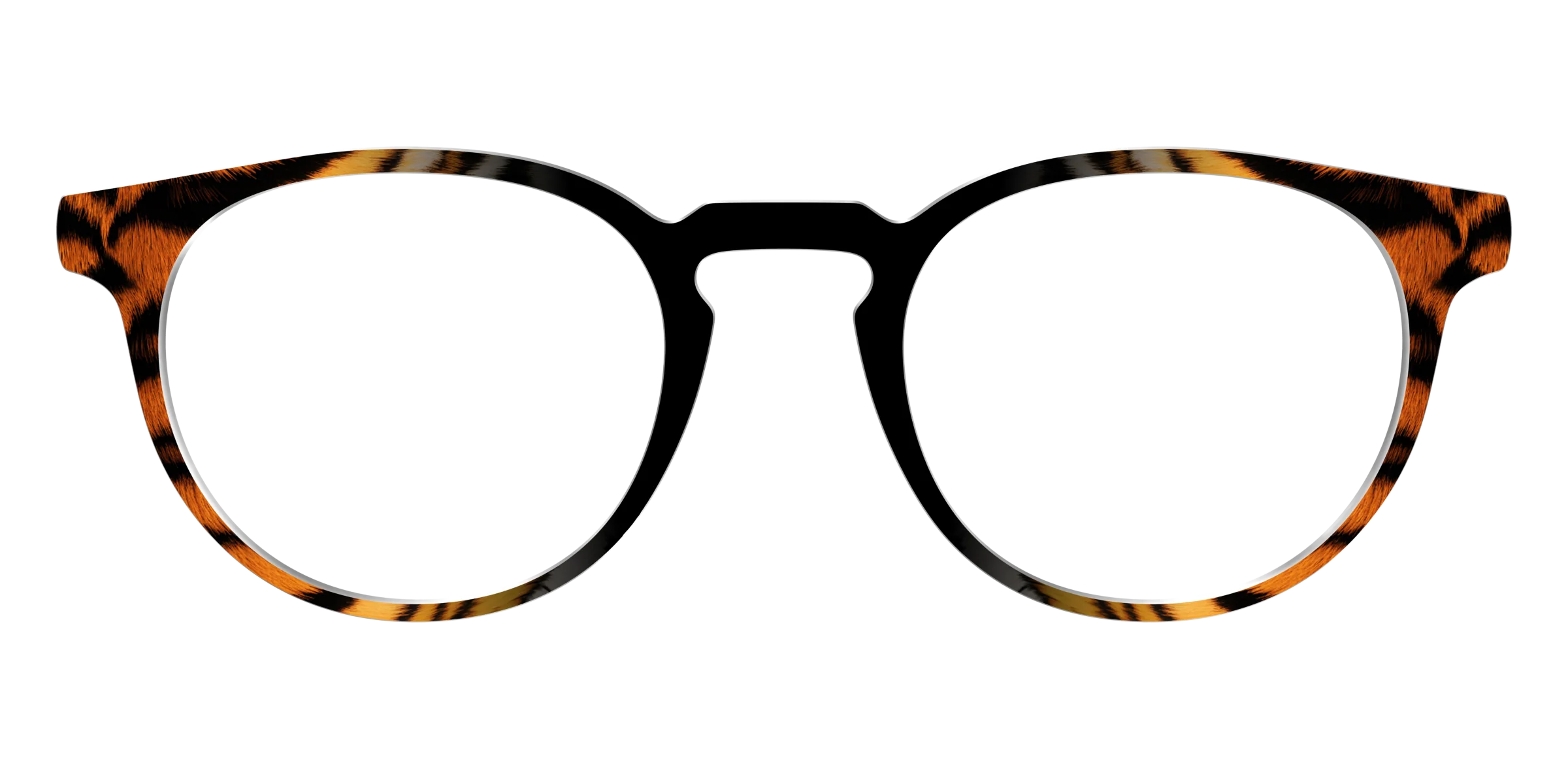The Bengal Stripes - Image 19