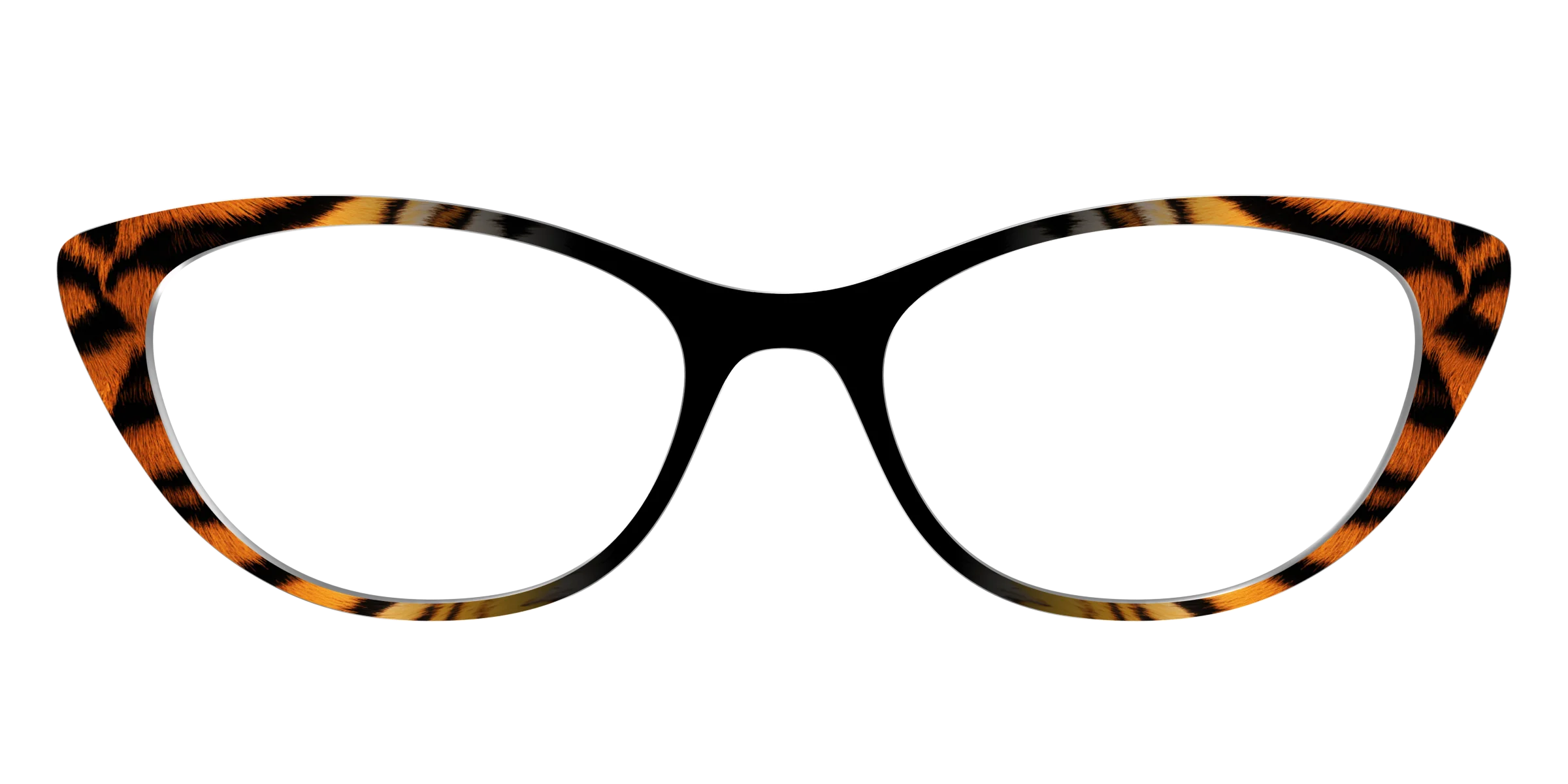 The Bengal Stripes - Image 23
