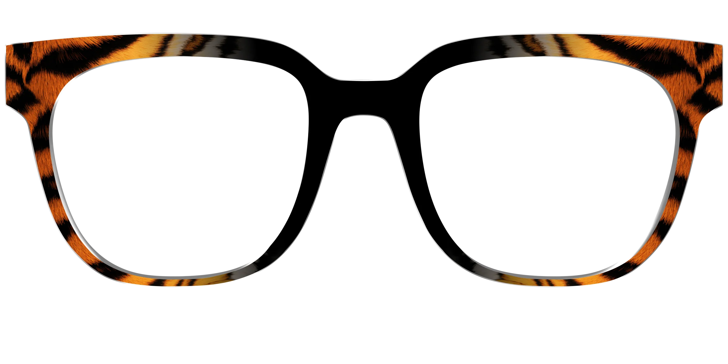 The Bengal Stripes - Image 31