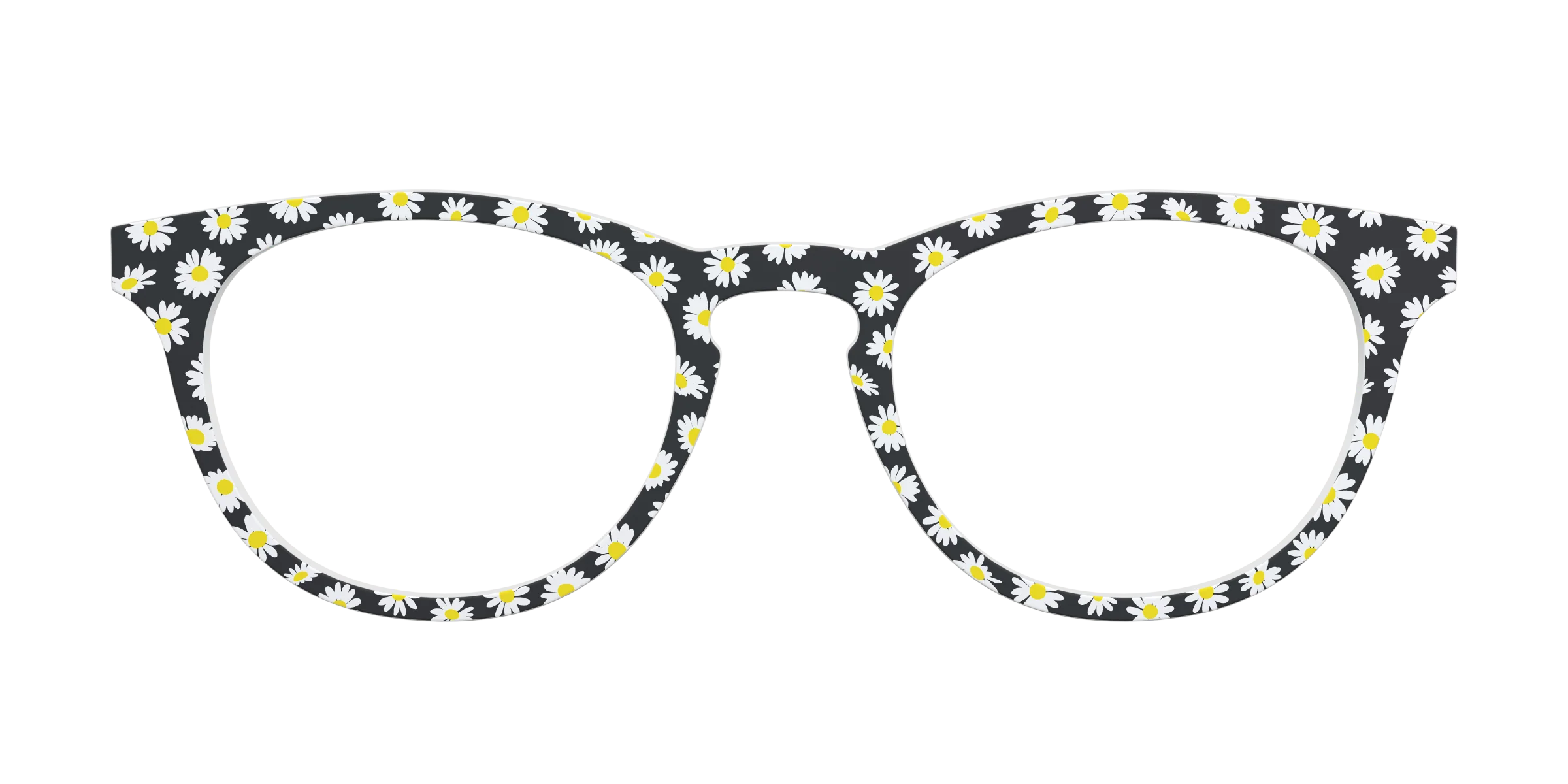 The Black Daisy - Image 3