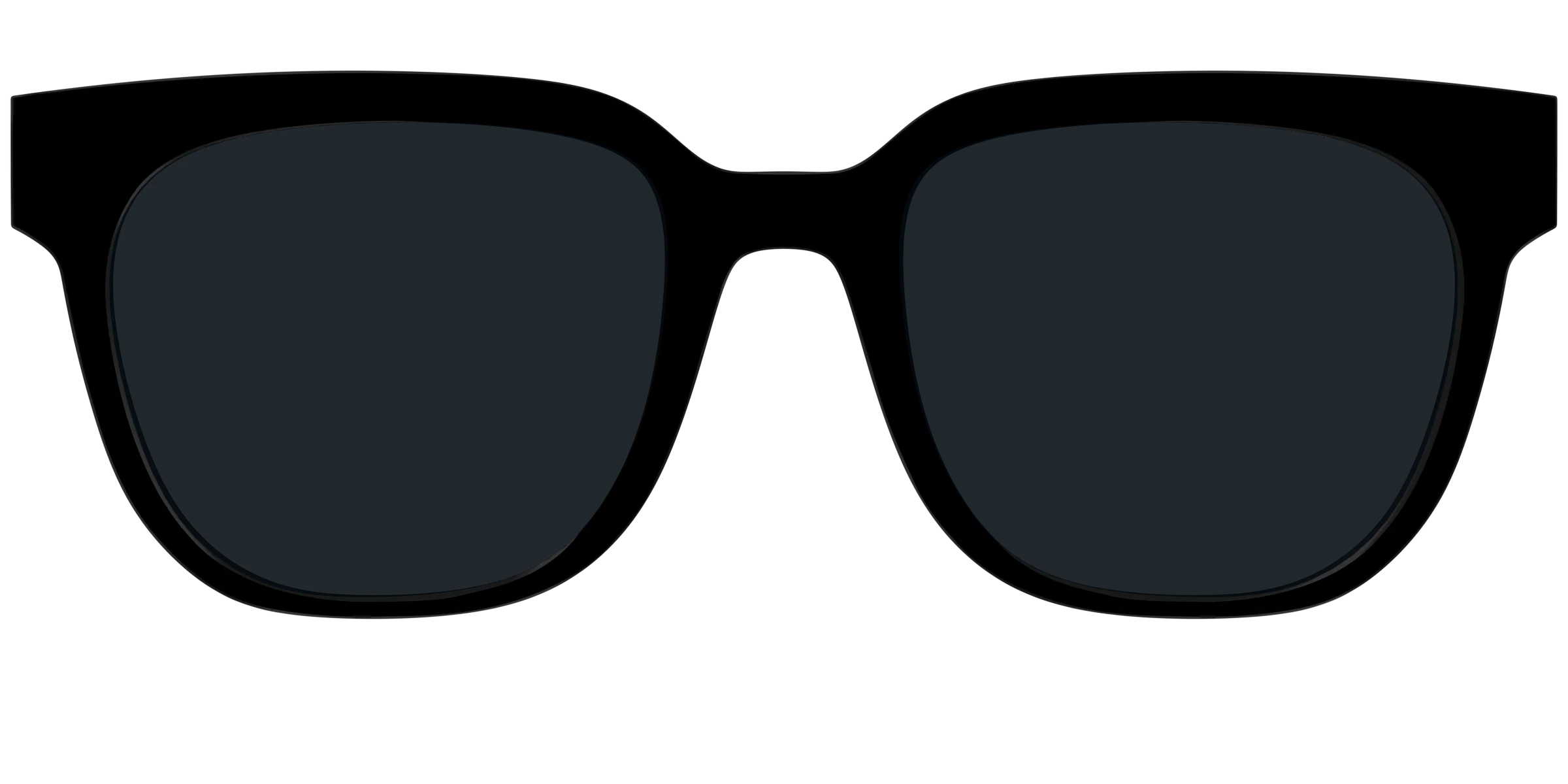 The Non-Polarized Black Sun Top - Image 31