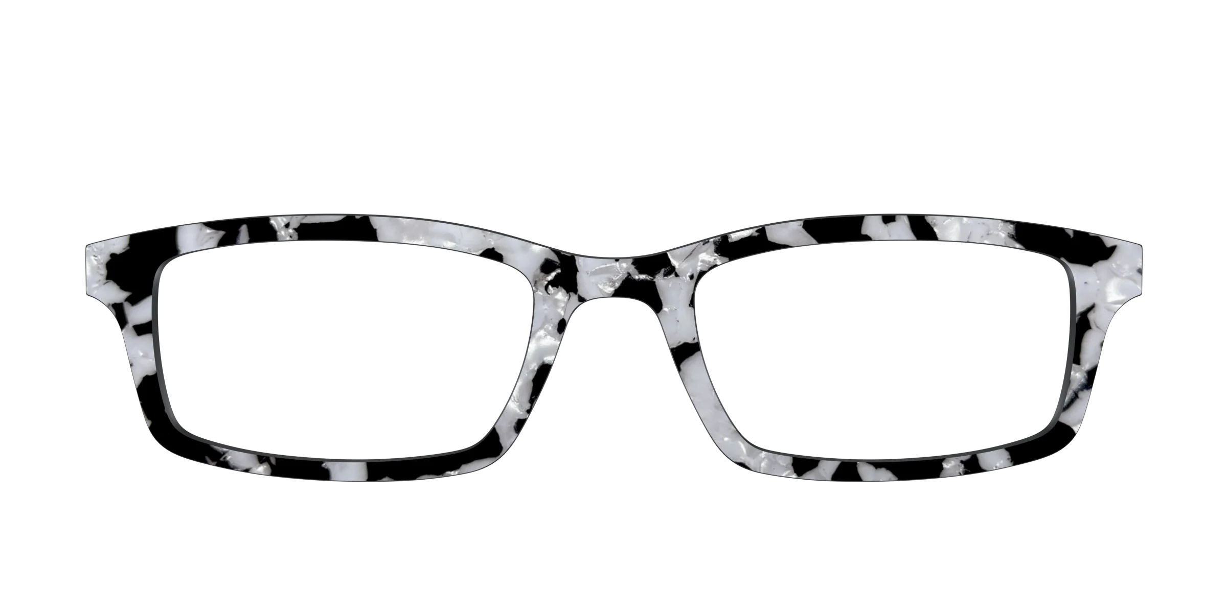 The Black & White Pearl Tortoise