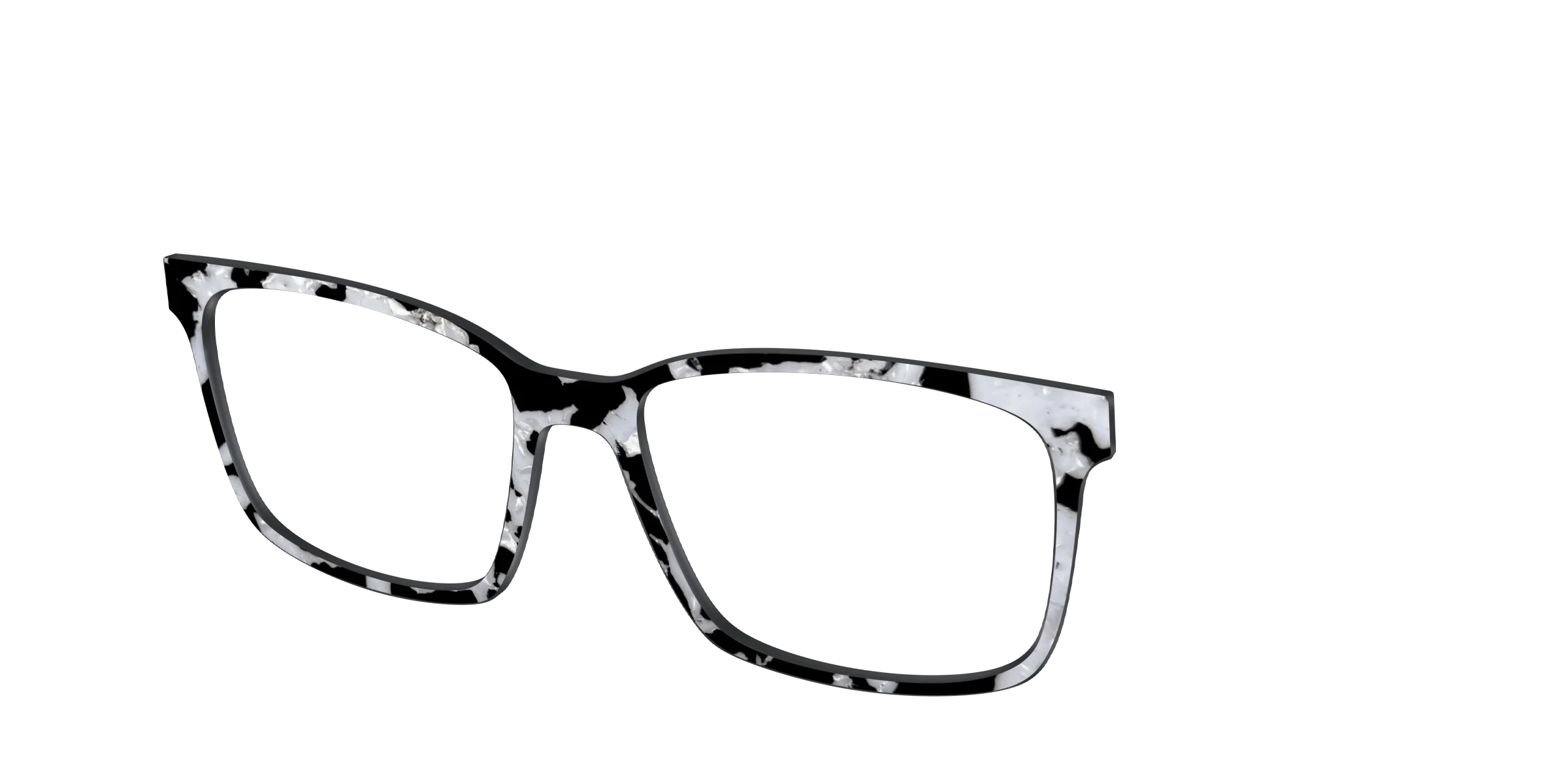 The Black & White Pearl Tortoise - Image 12