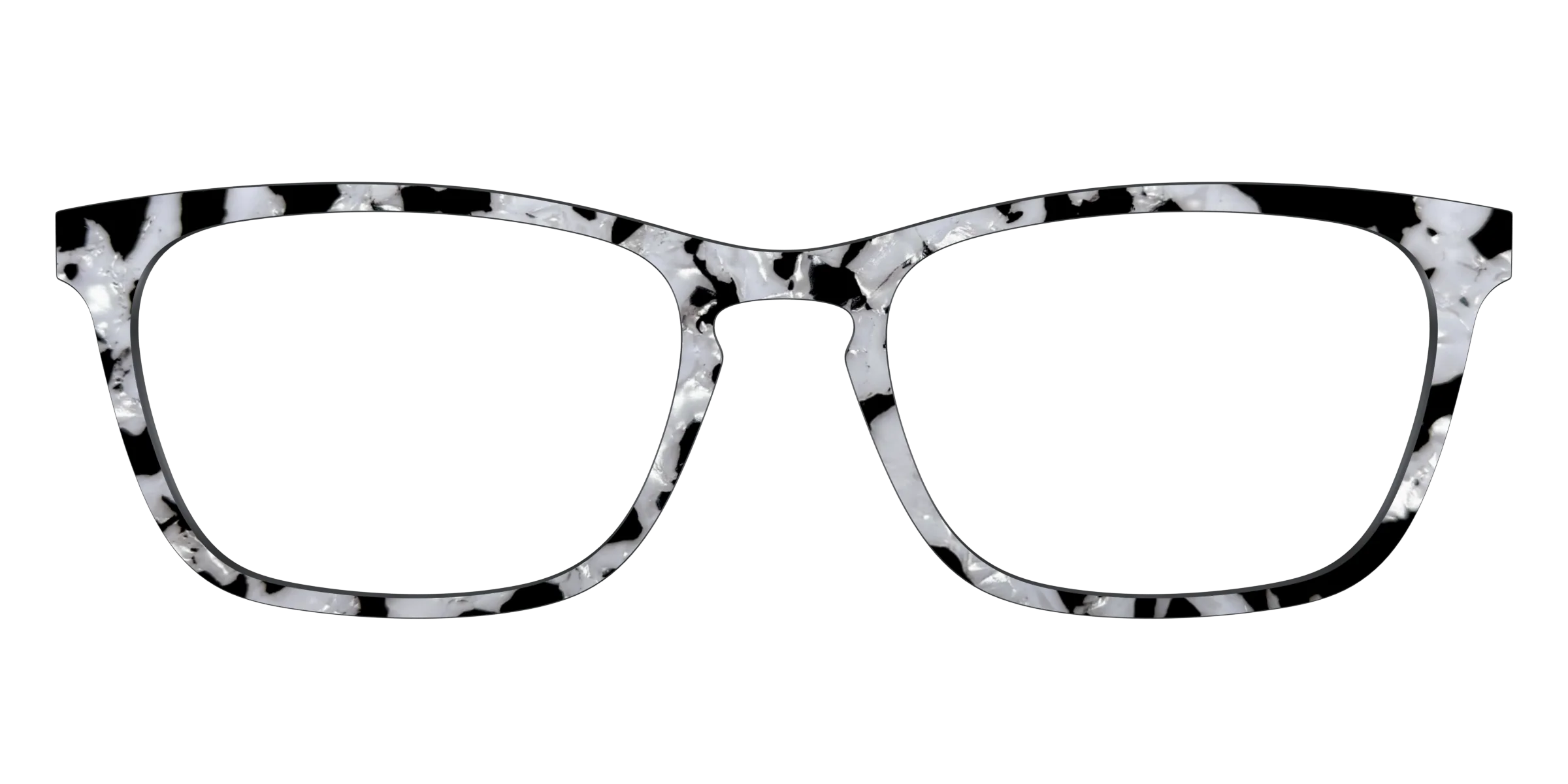 The Black & White Pearl Tortoise - Image 13