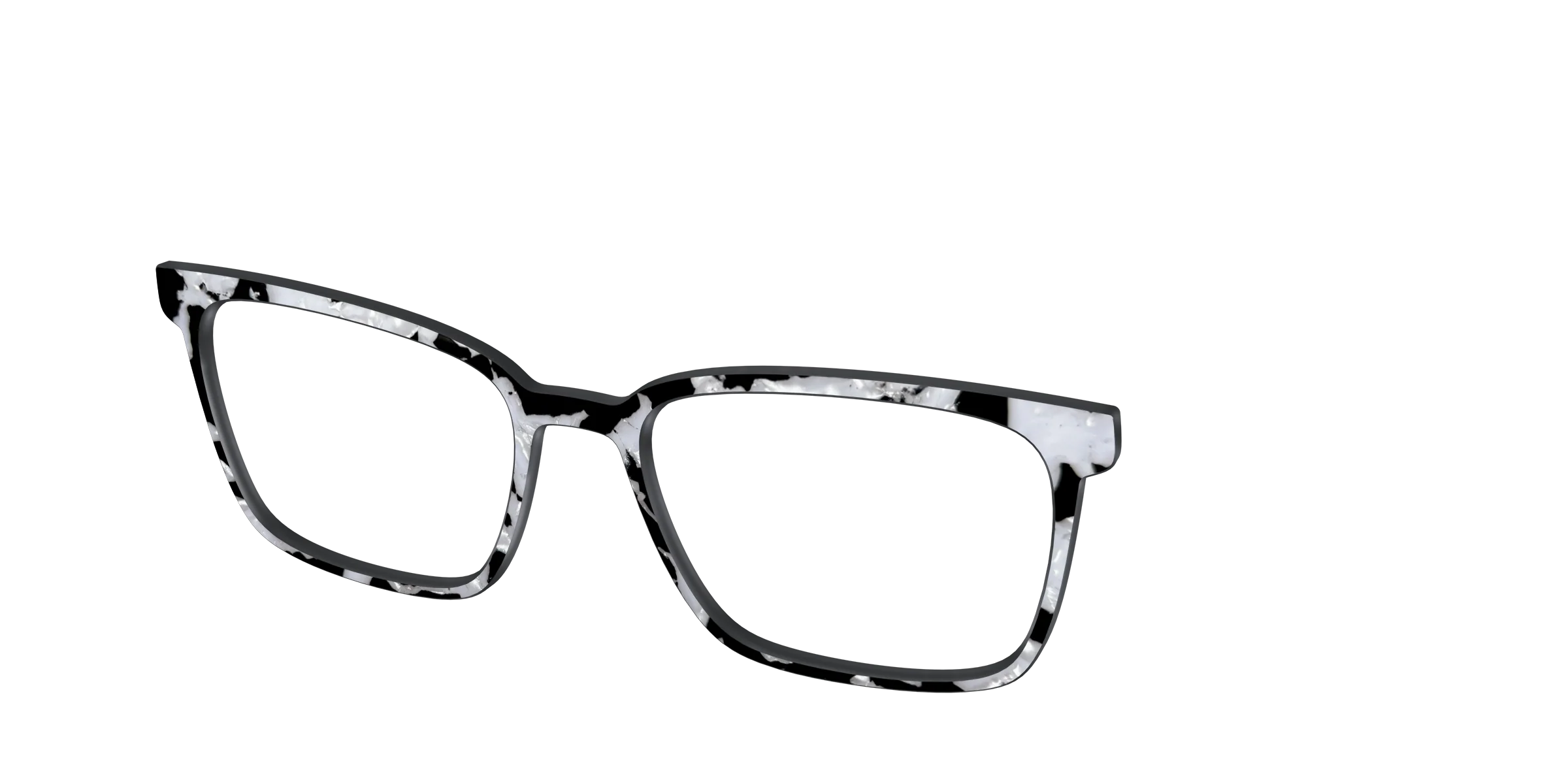 The Black & White Pearl Tortoise - Image 46