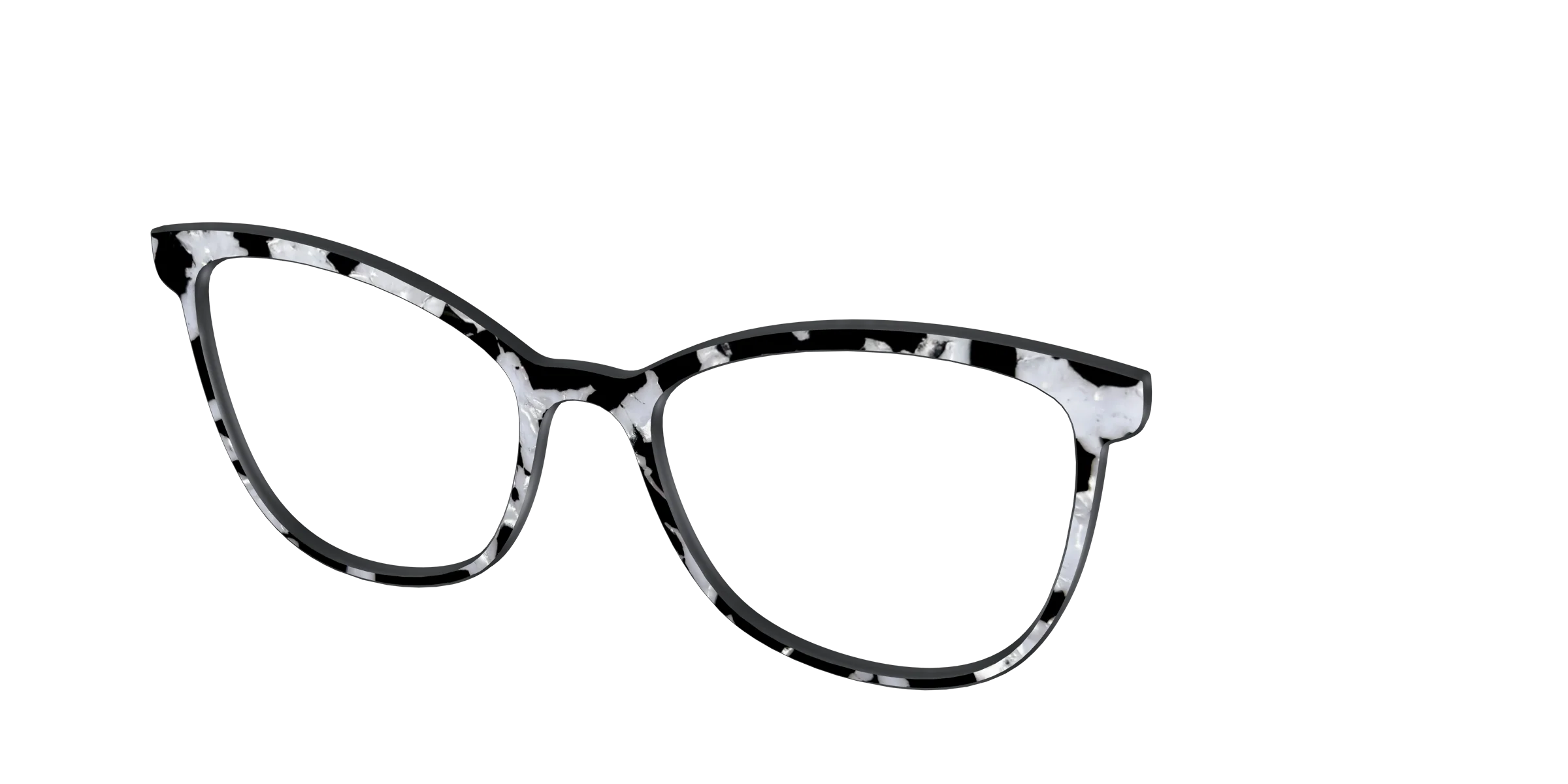 The Black & White Pearl Tortoise - Image 54