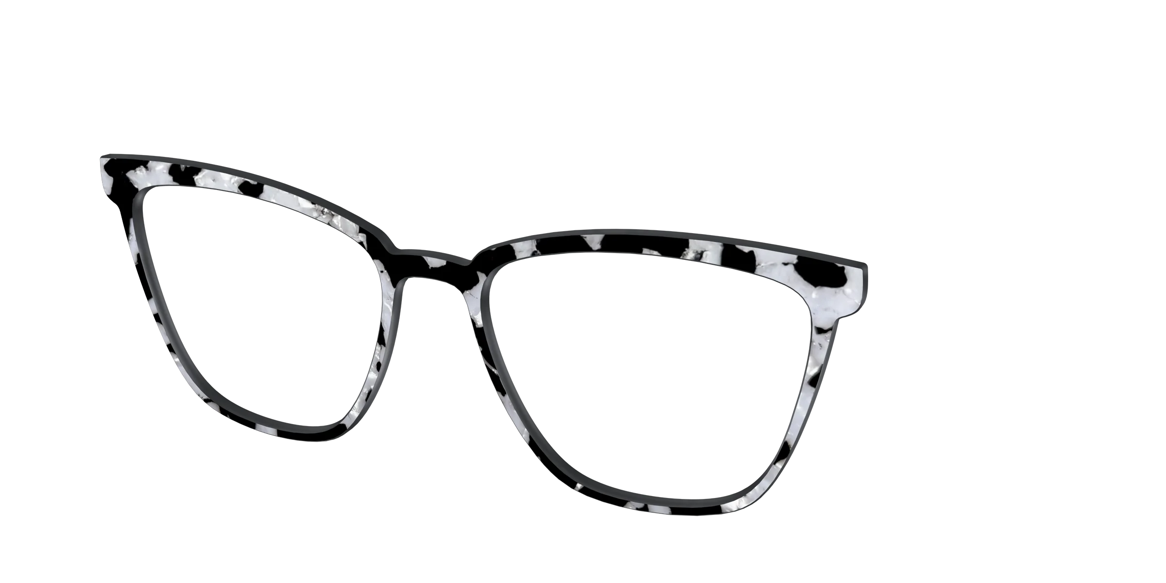 The Black & White Pearl Tortoise - Image 58