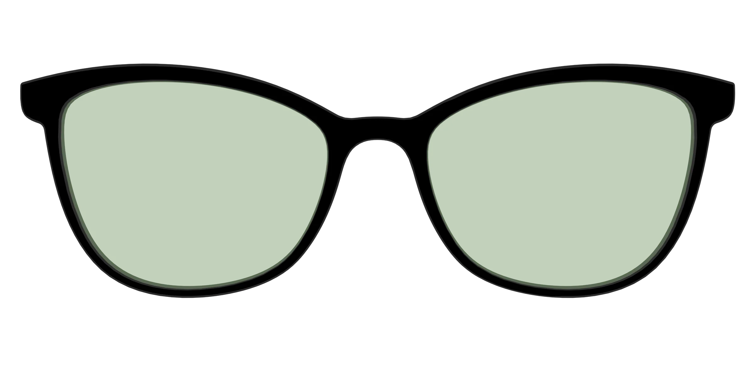 The Black With Sage Green Lens - Image 53