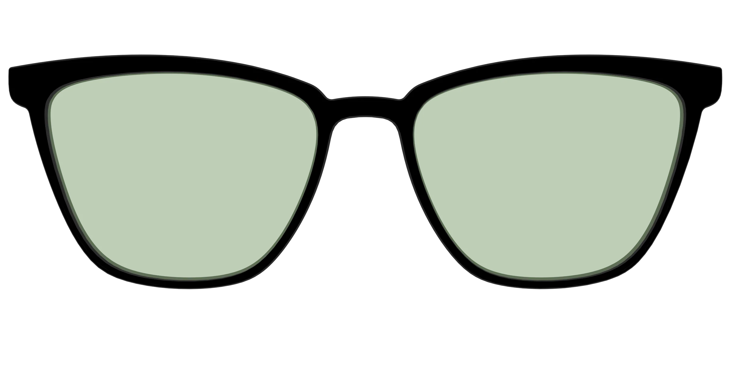The Black With Sage Green Lens - Image 57