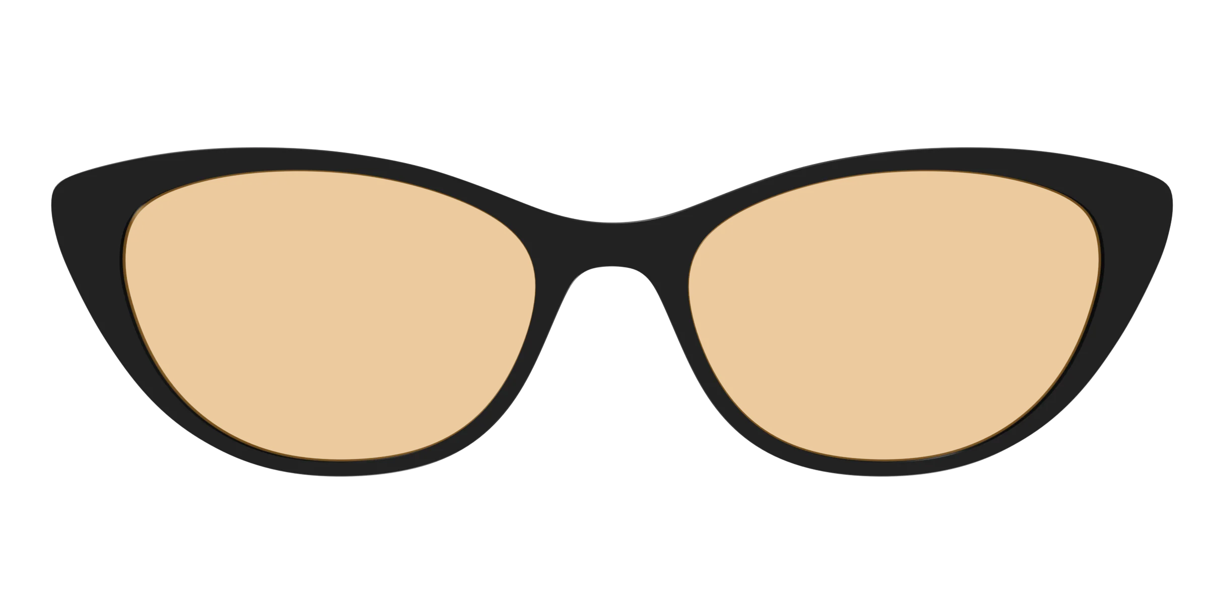 The Black With Umber Brown Lens - Image 23