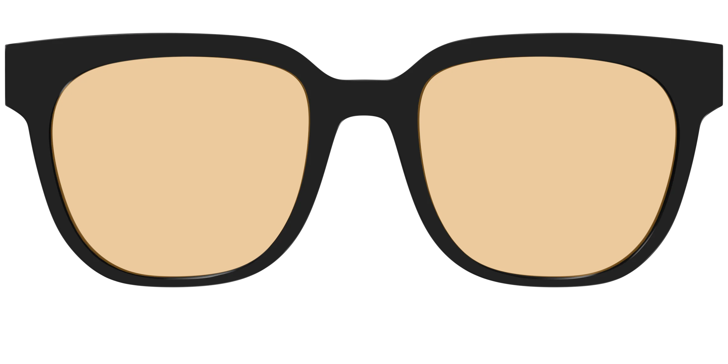 The Black With Umber Brown Lens - Image 31