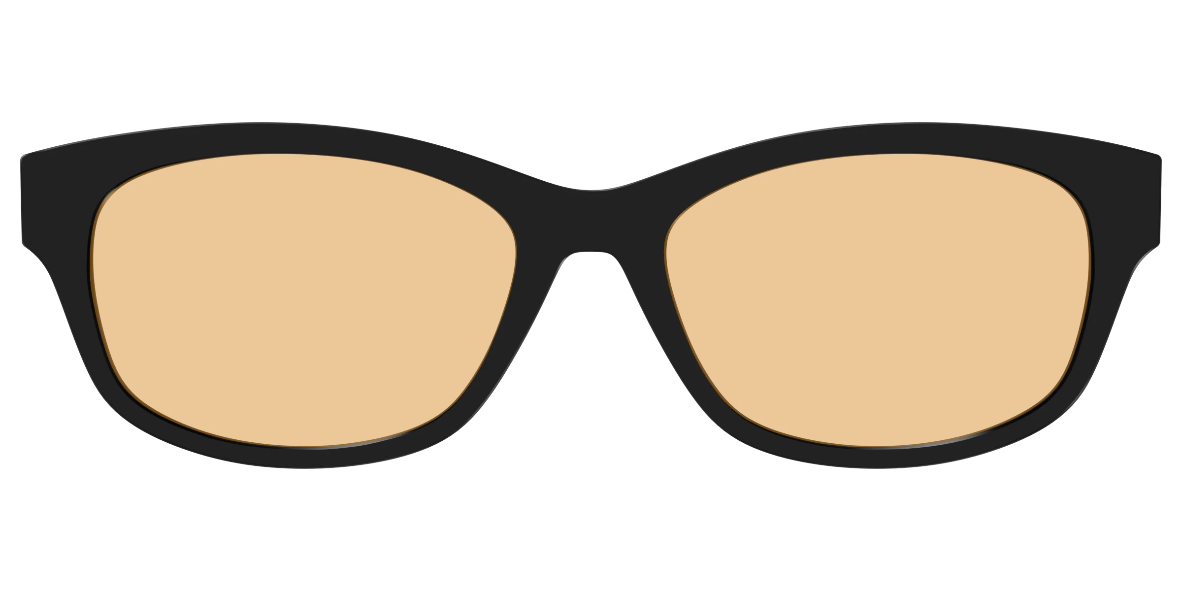 The Black With Umber Brown Lens - Image 39