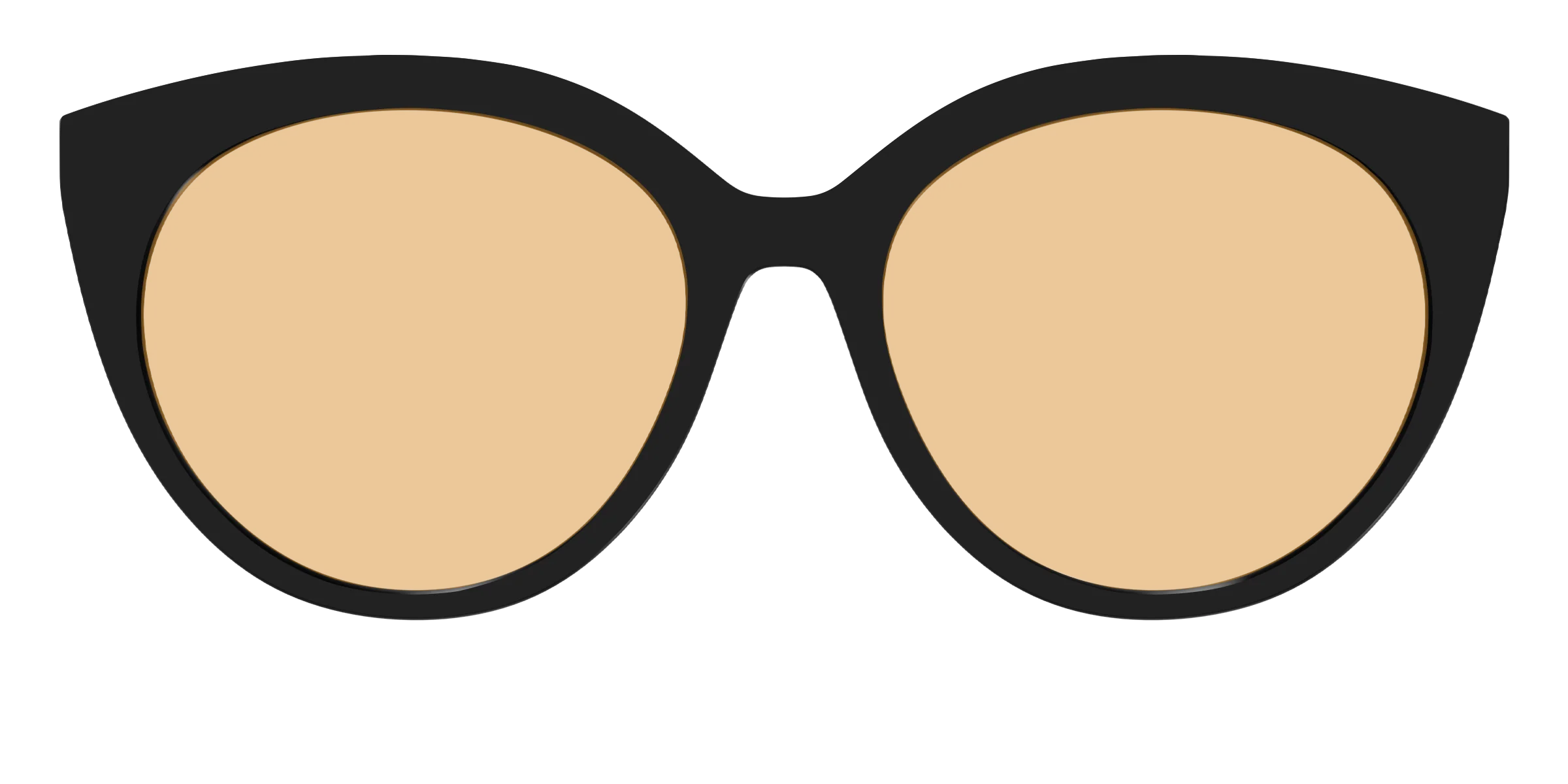 The Black With Umber Brown Lens - Image 43