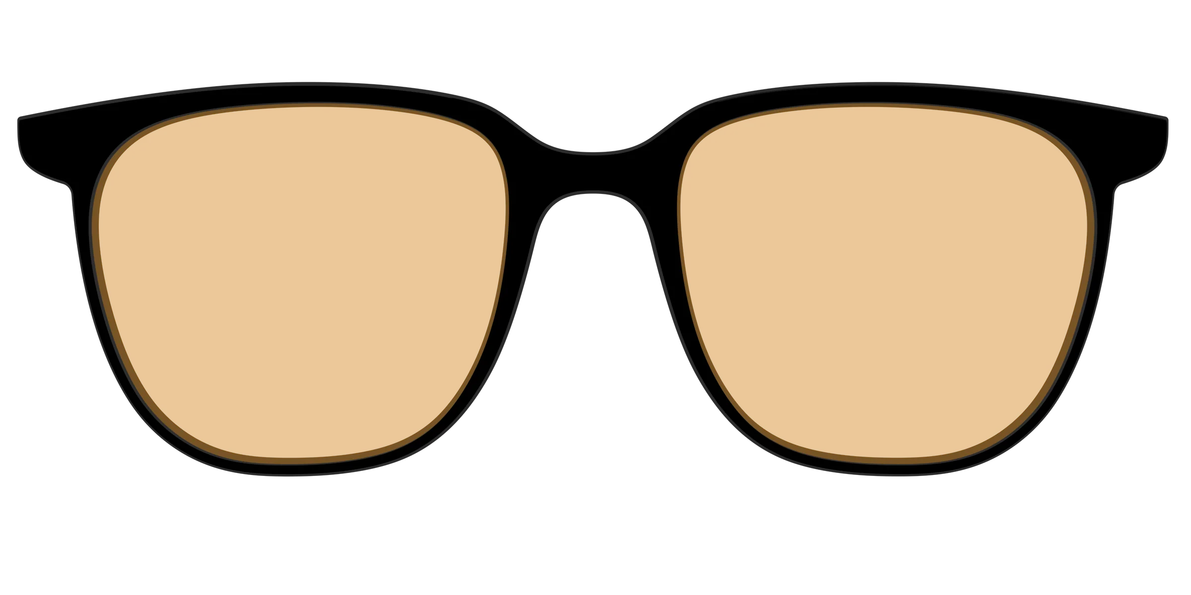 The Black With Umber Brown Lens - Image 47