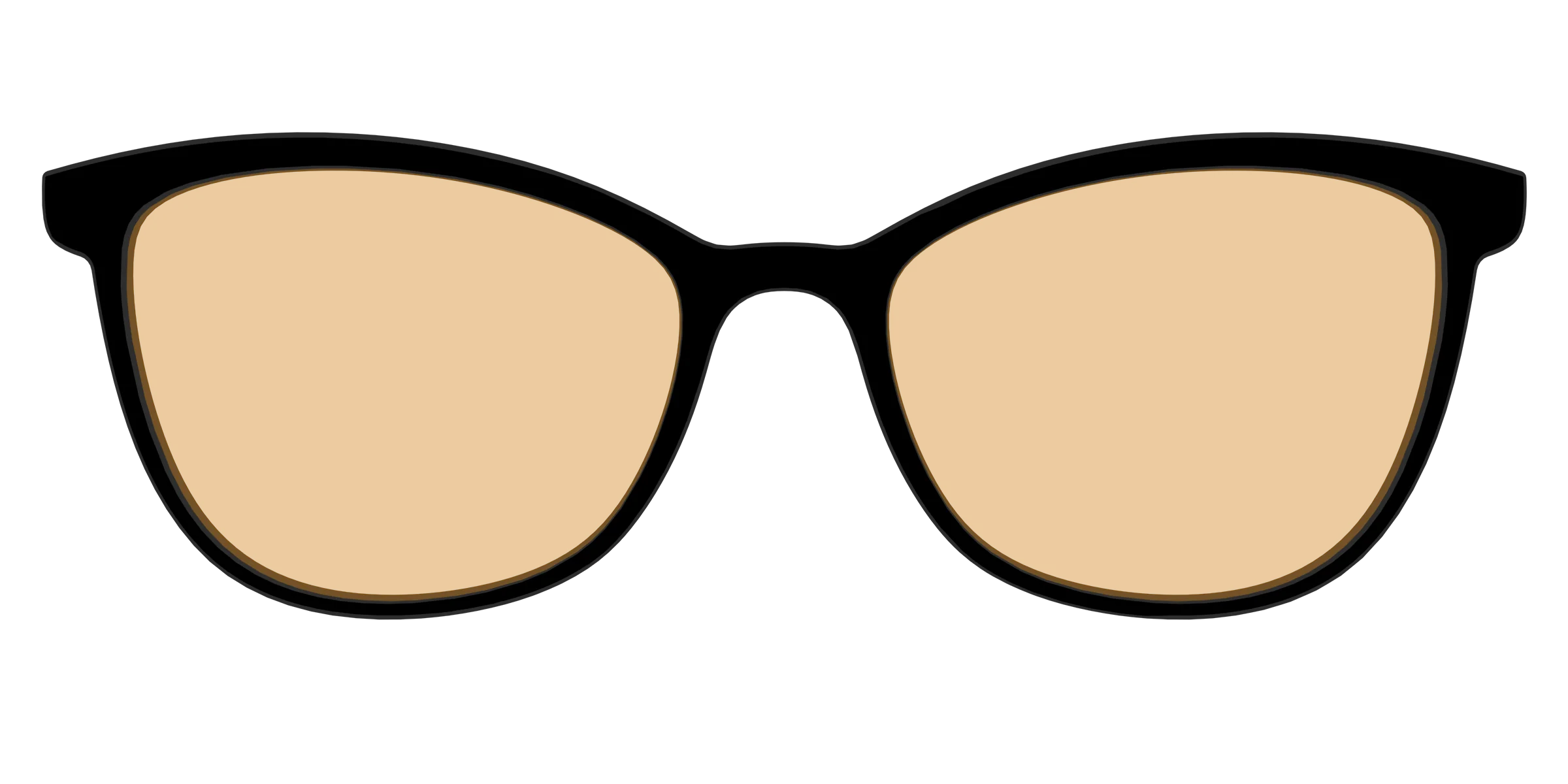 The Black With Umber Brown Lens - Image 53