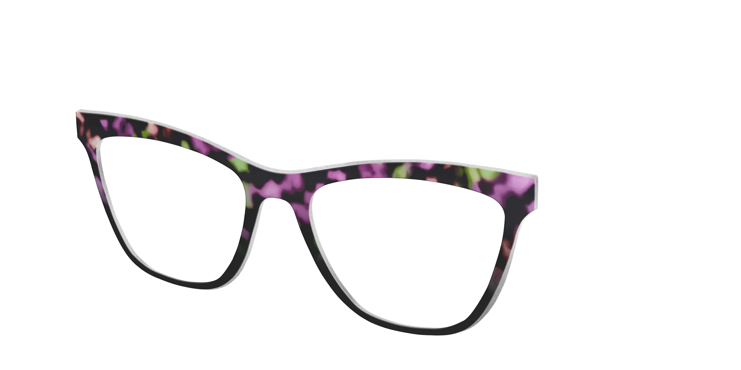 The Boysenberry Tortoise - Image 30