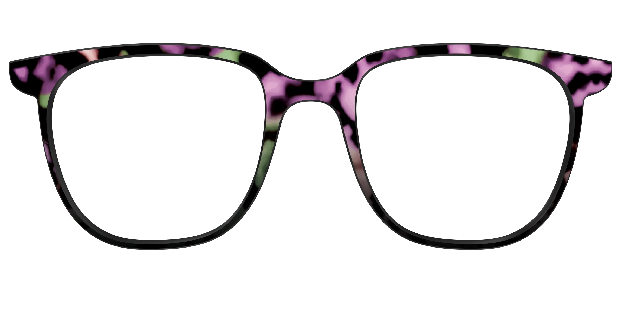 The Boysenberry Tortoise - Image 47