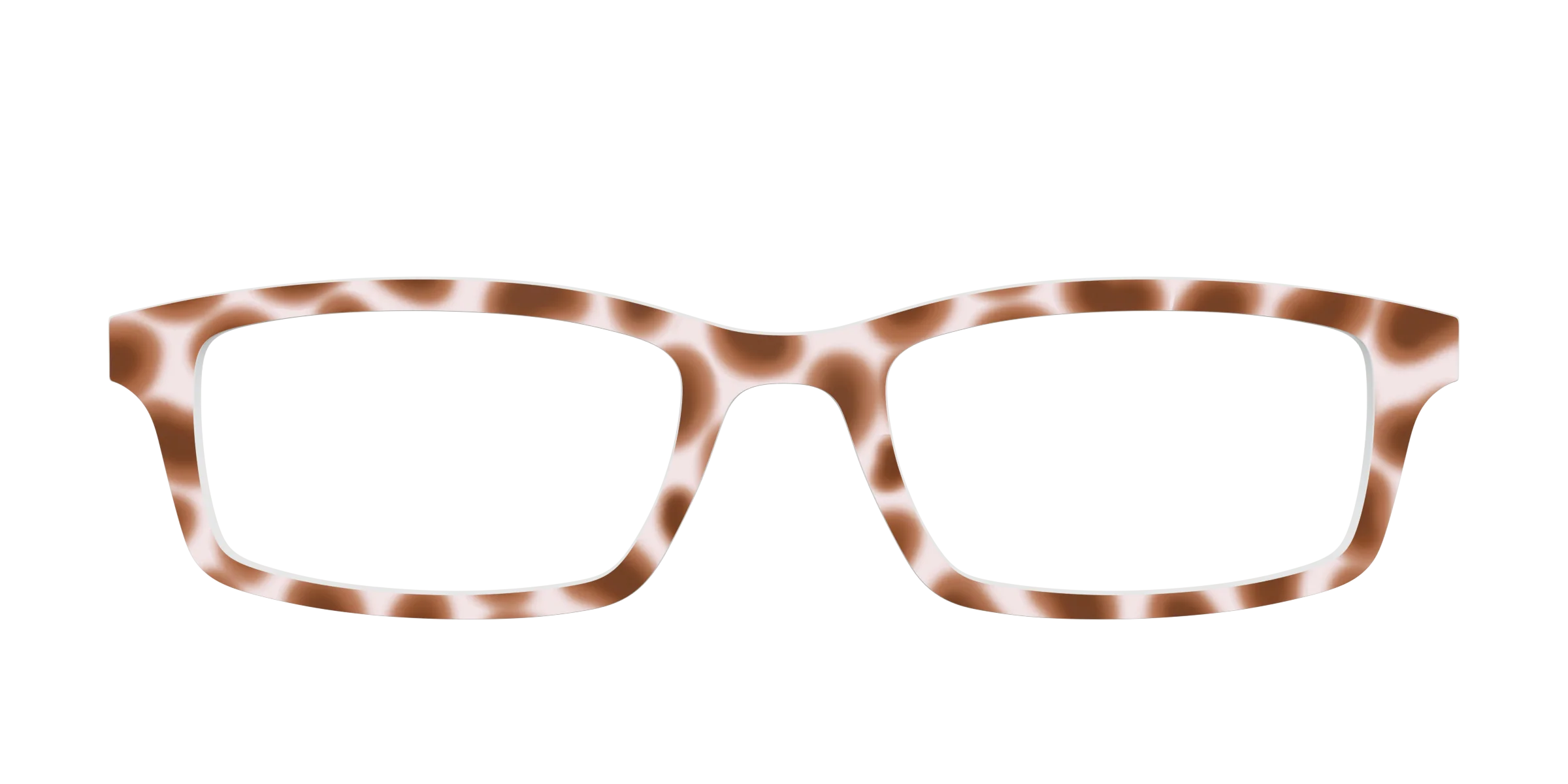 The Caffé Tortoise