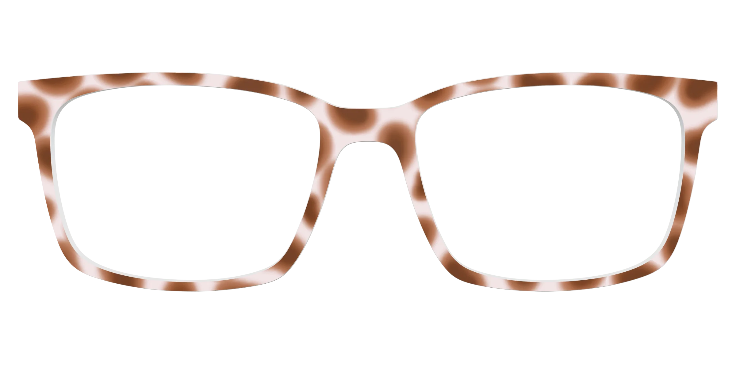 The Caffé Tortoise - Image 11