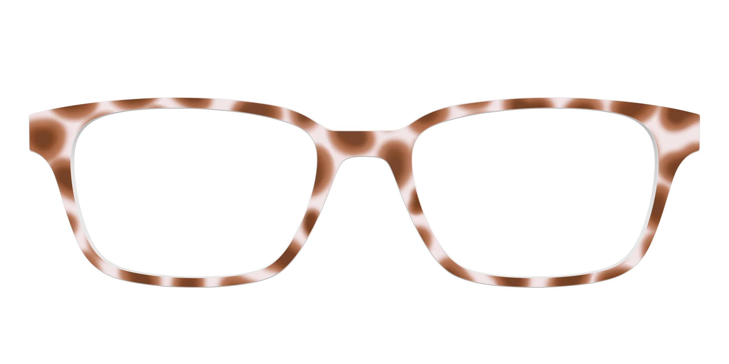 The Caffé Tortoise - Image 21