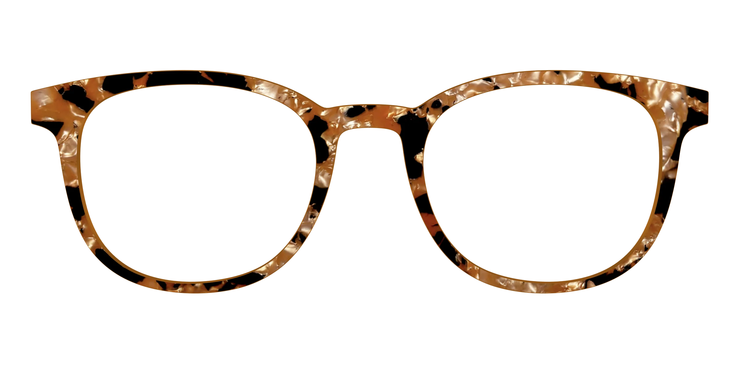 The Caramel Pearl Tortoise - Image 15
