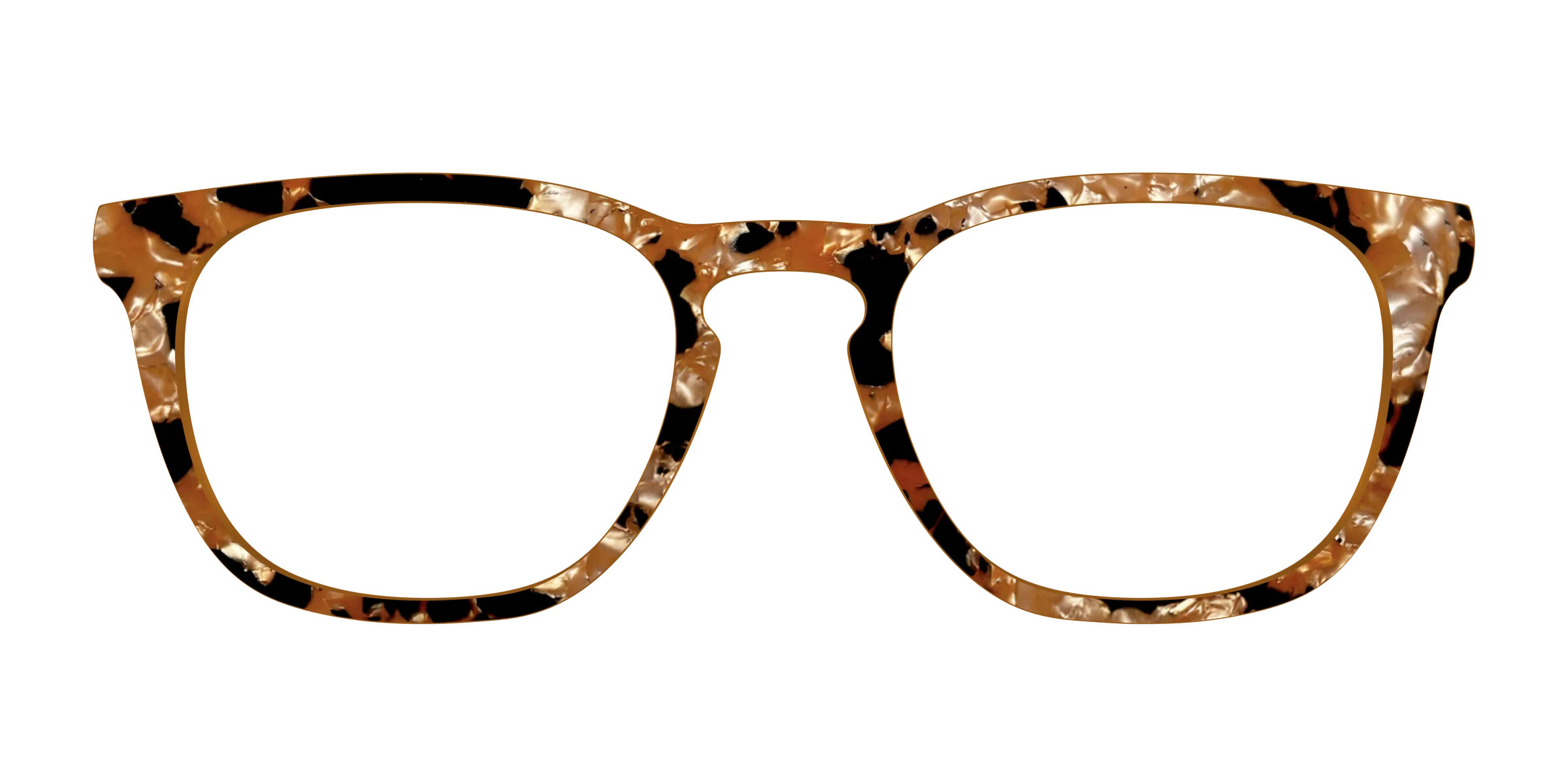 The Caramel Pearl Tortoise - Image 7
