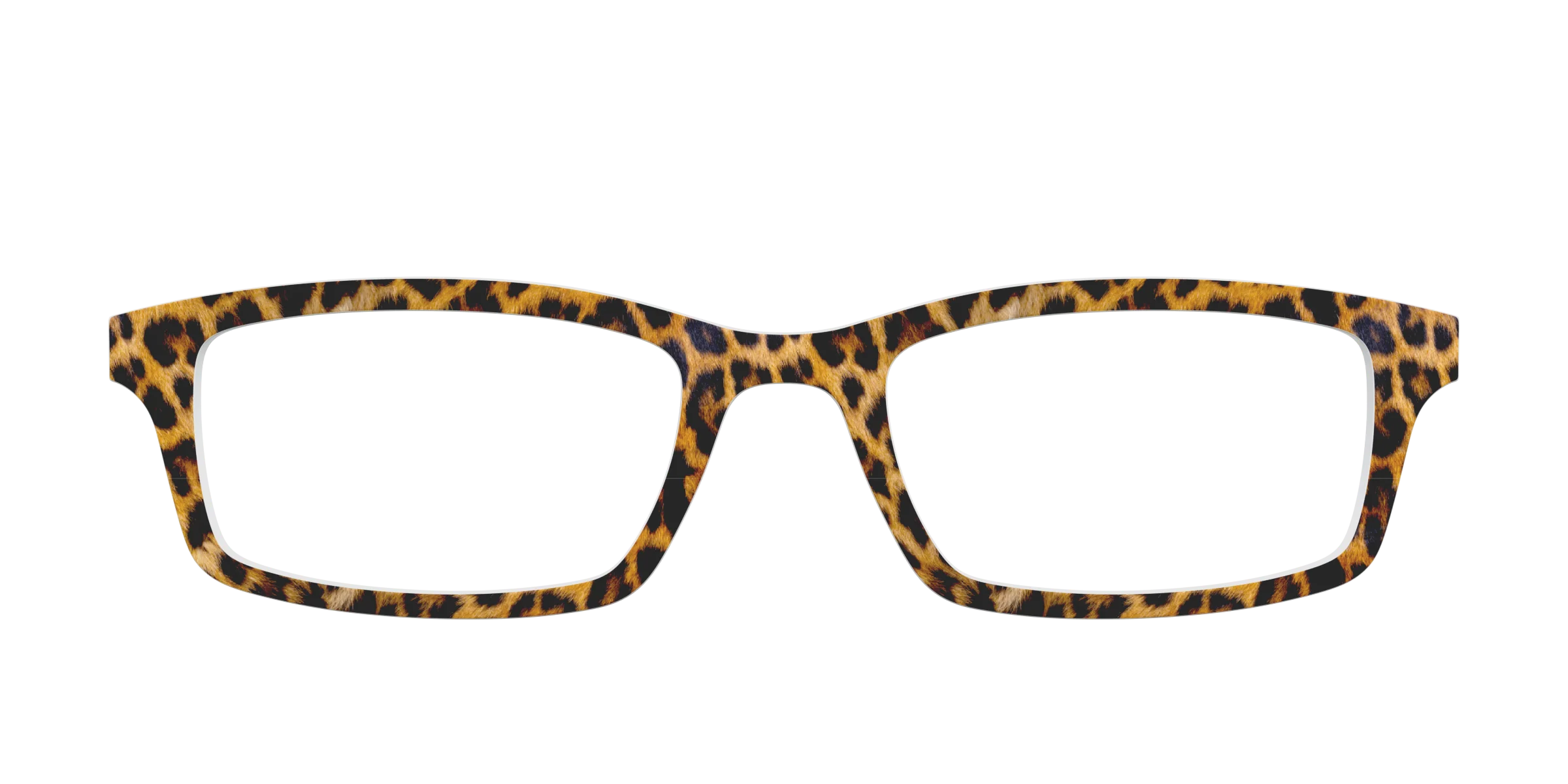 The Cheetah Spots