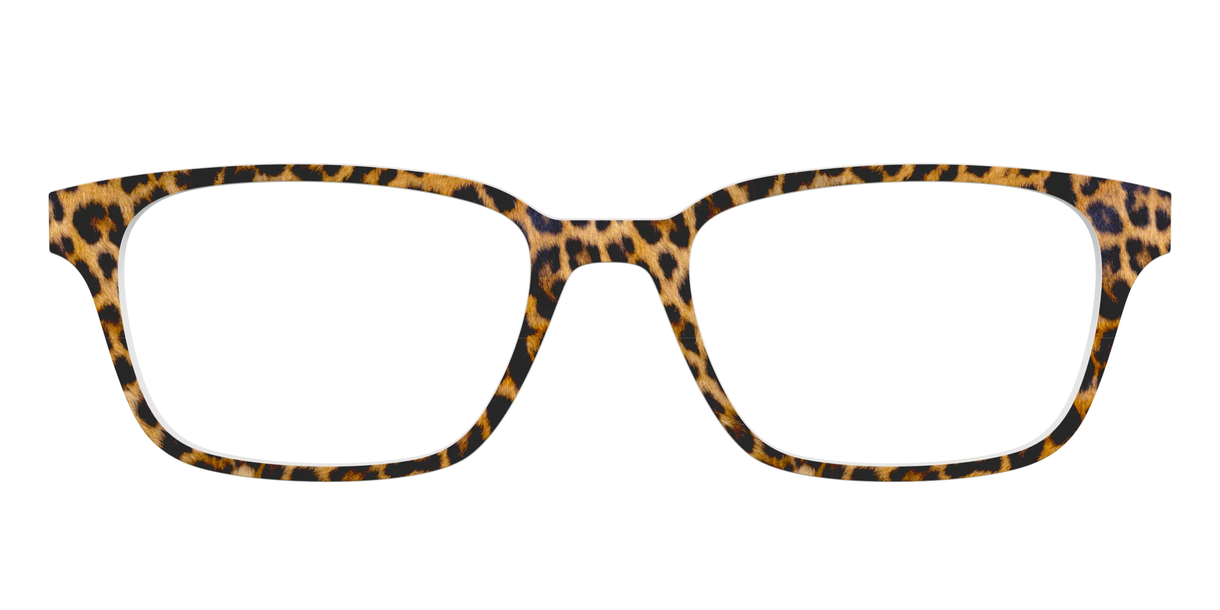 The Cheetah Spots - Image 21
