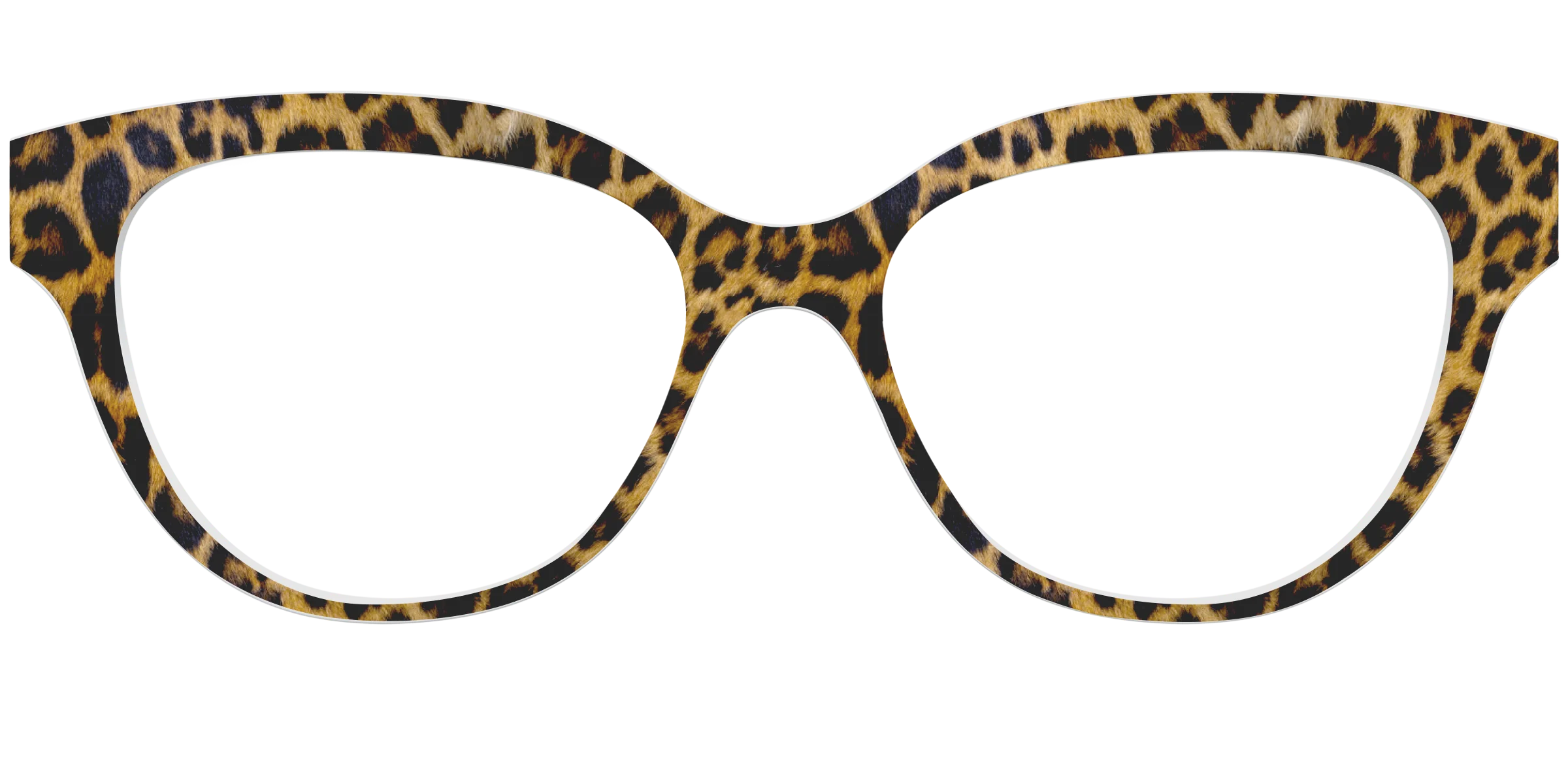 The Cheetah Spots - Image 33