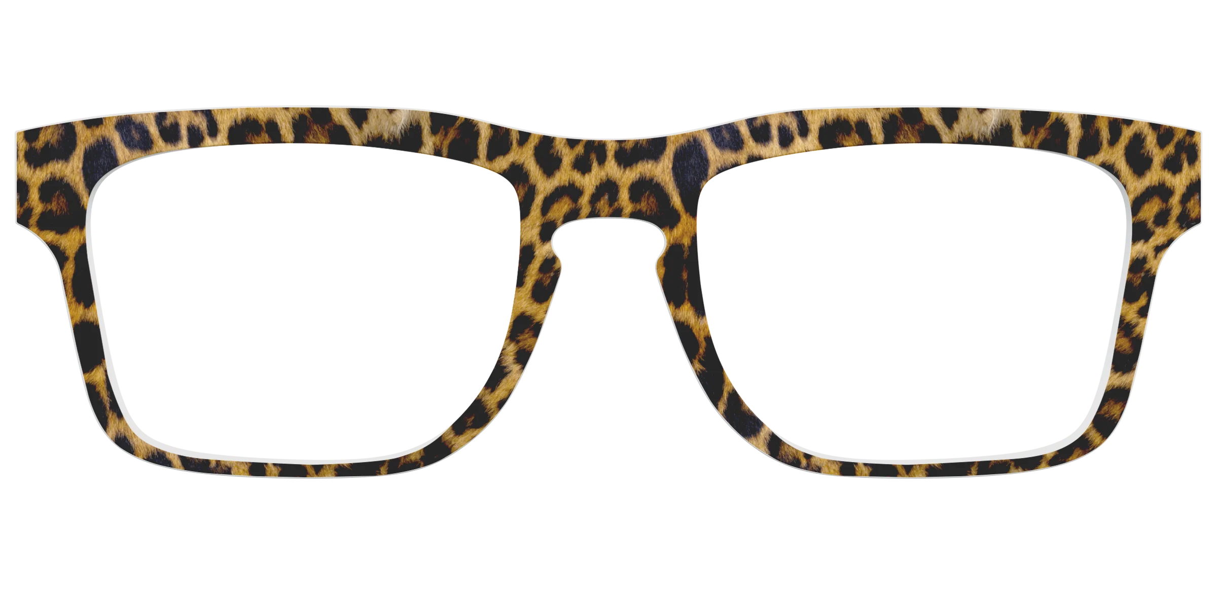 The Cheetah Spots - Image 35