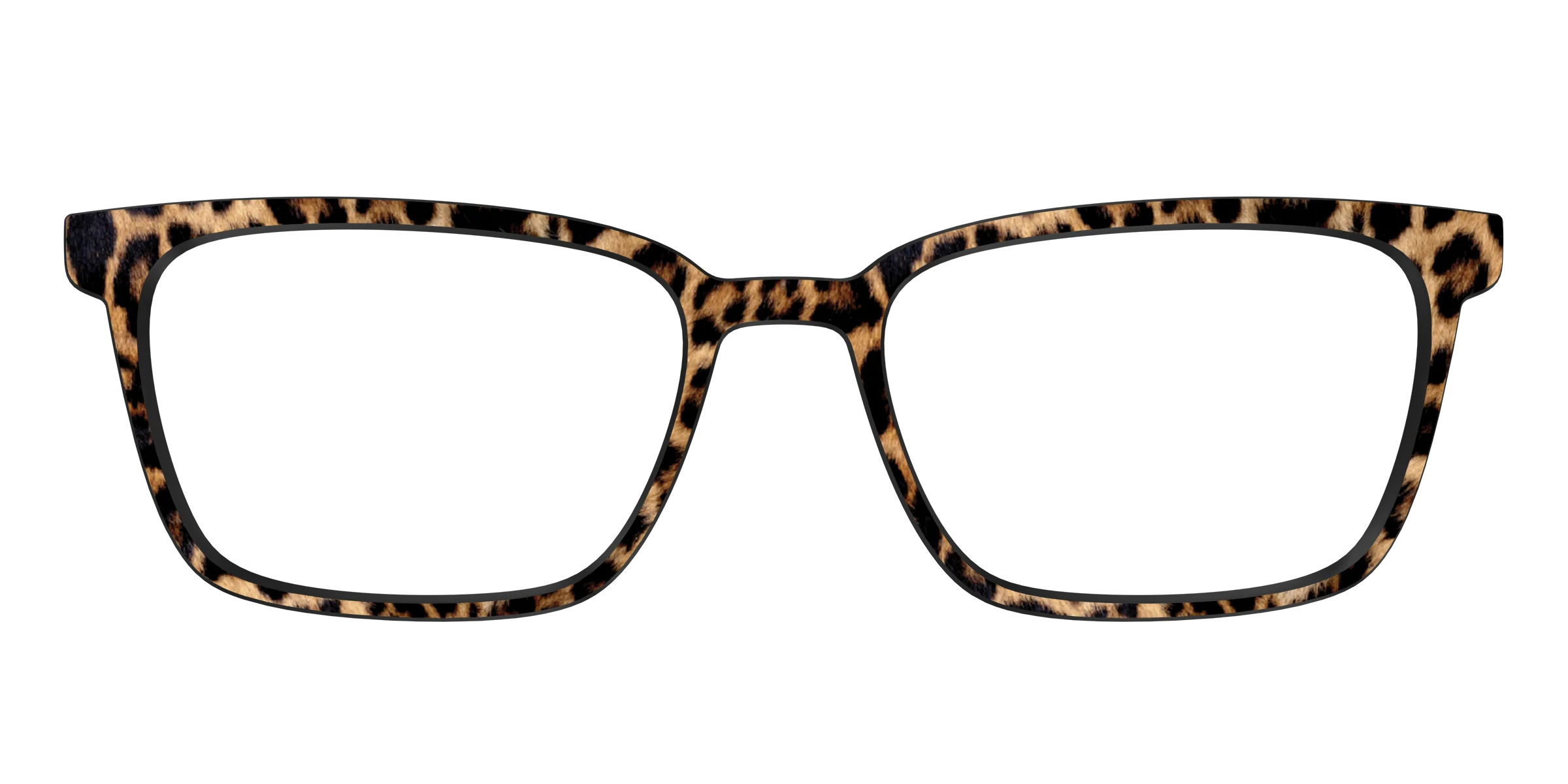 The Cheetah Spots - Image 45