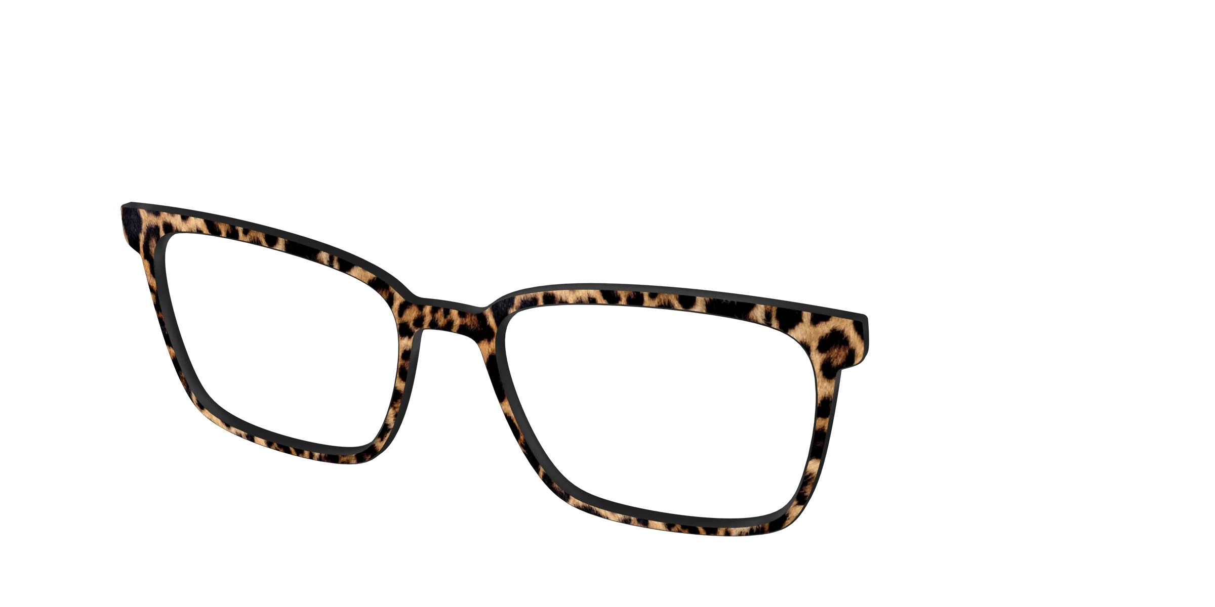 The Cheetah Spots - Image 46