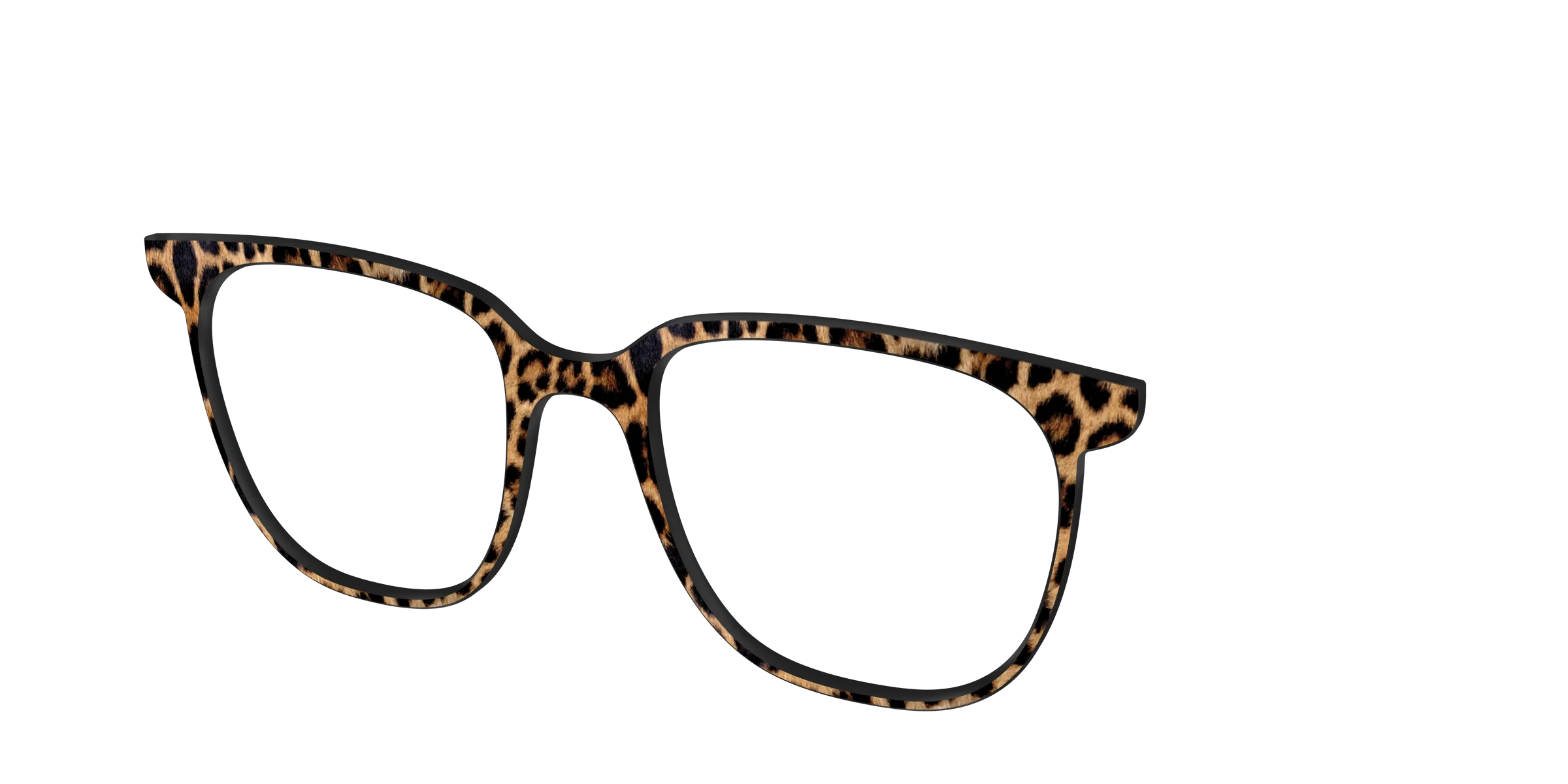 The Cheetah Spots - Image 48