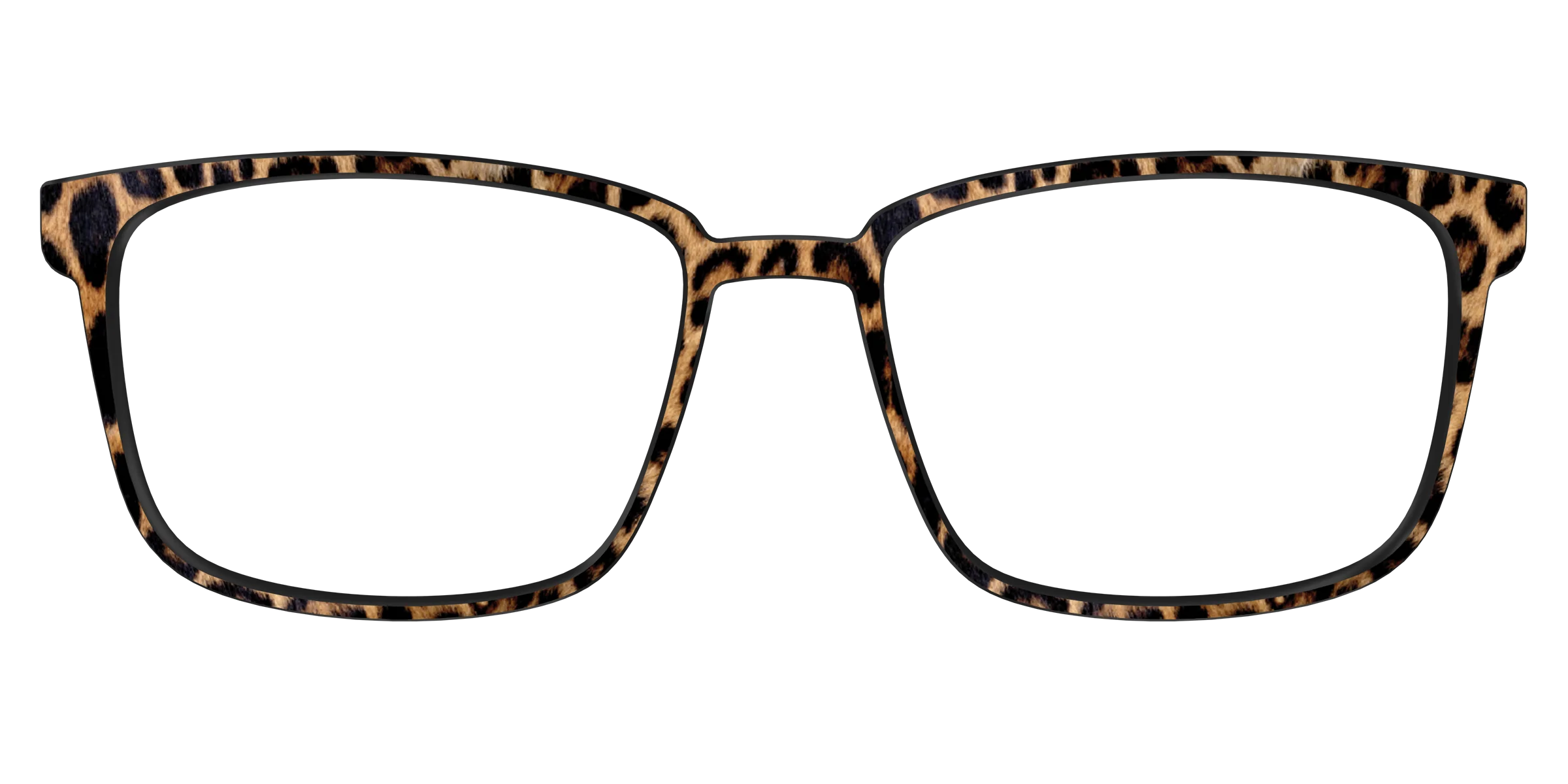 The Cheetah Spots - Image 49