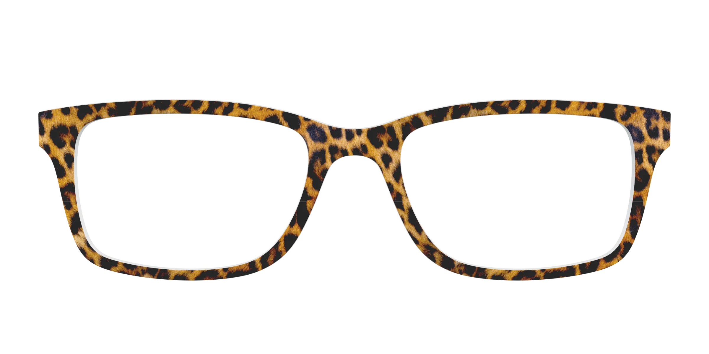 The Cheetah Spots - Image 5