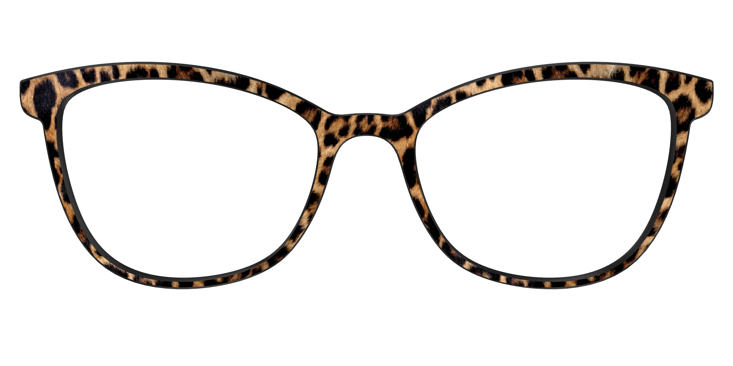 The Cheetah Spots - Image 53