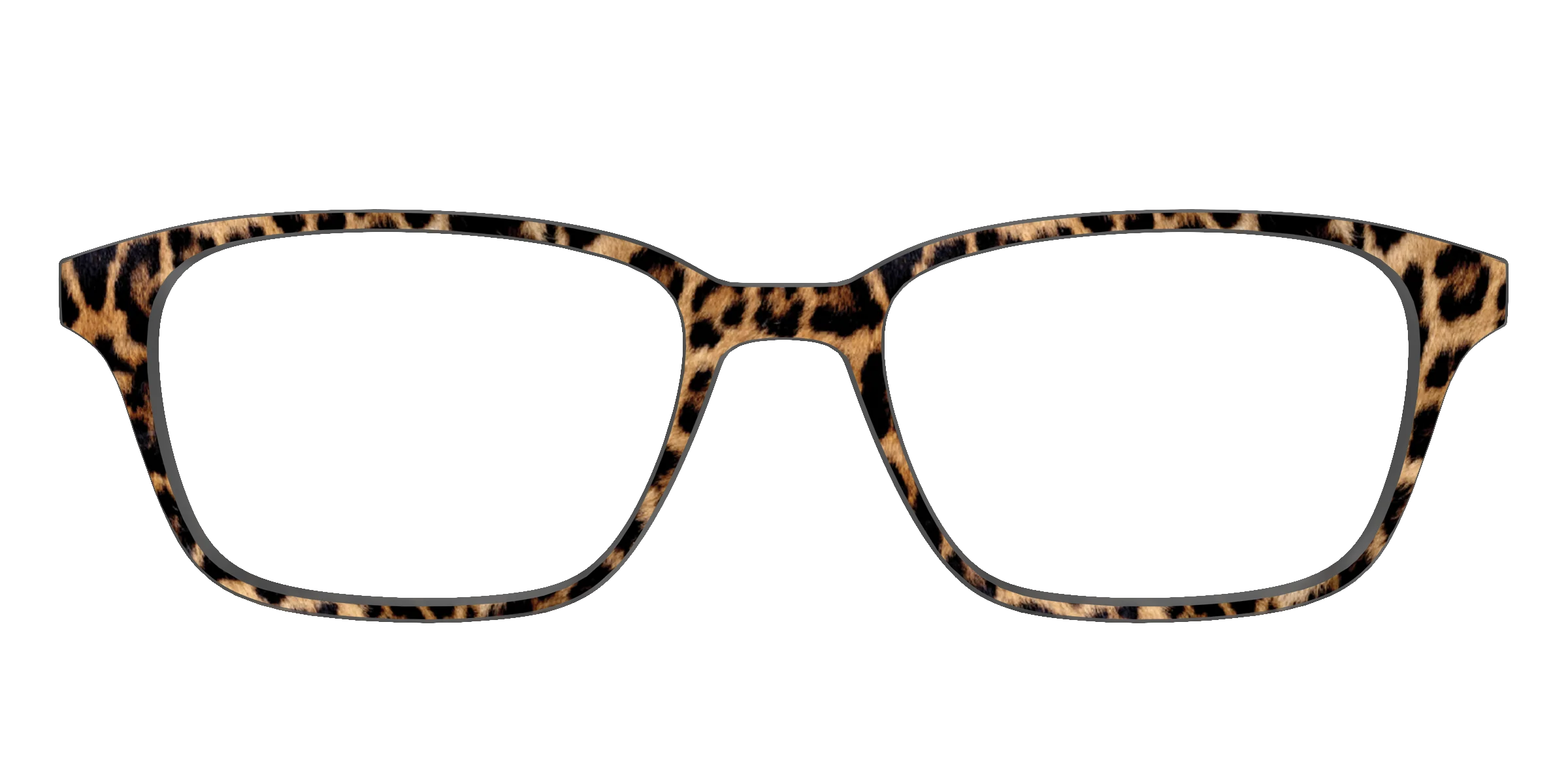 The Cheetah Spots - Image 55