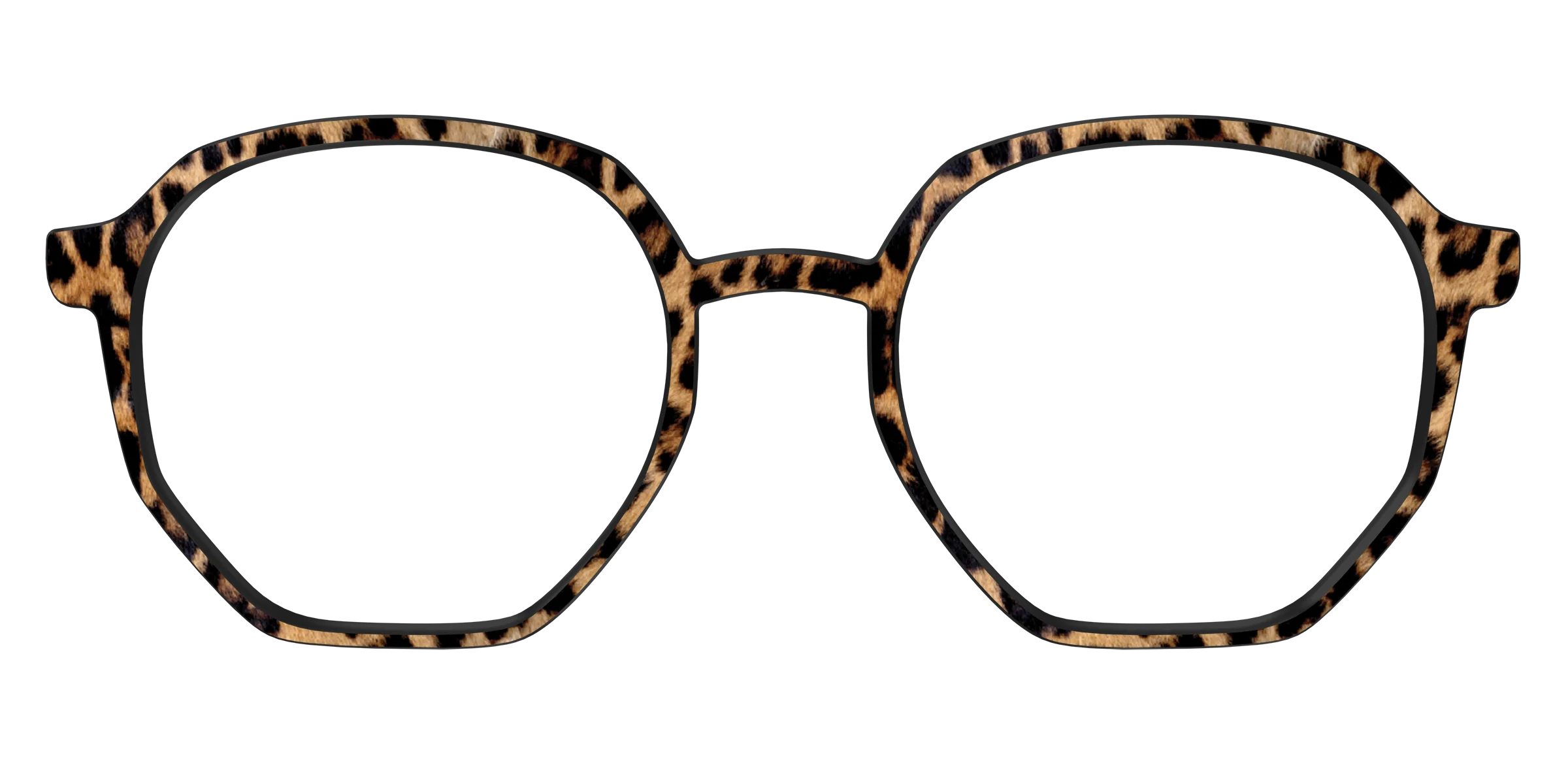 The Cheetah Spots - Image 59