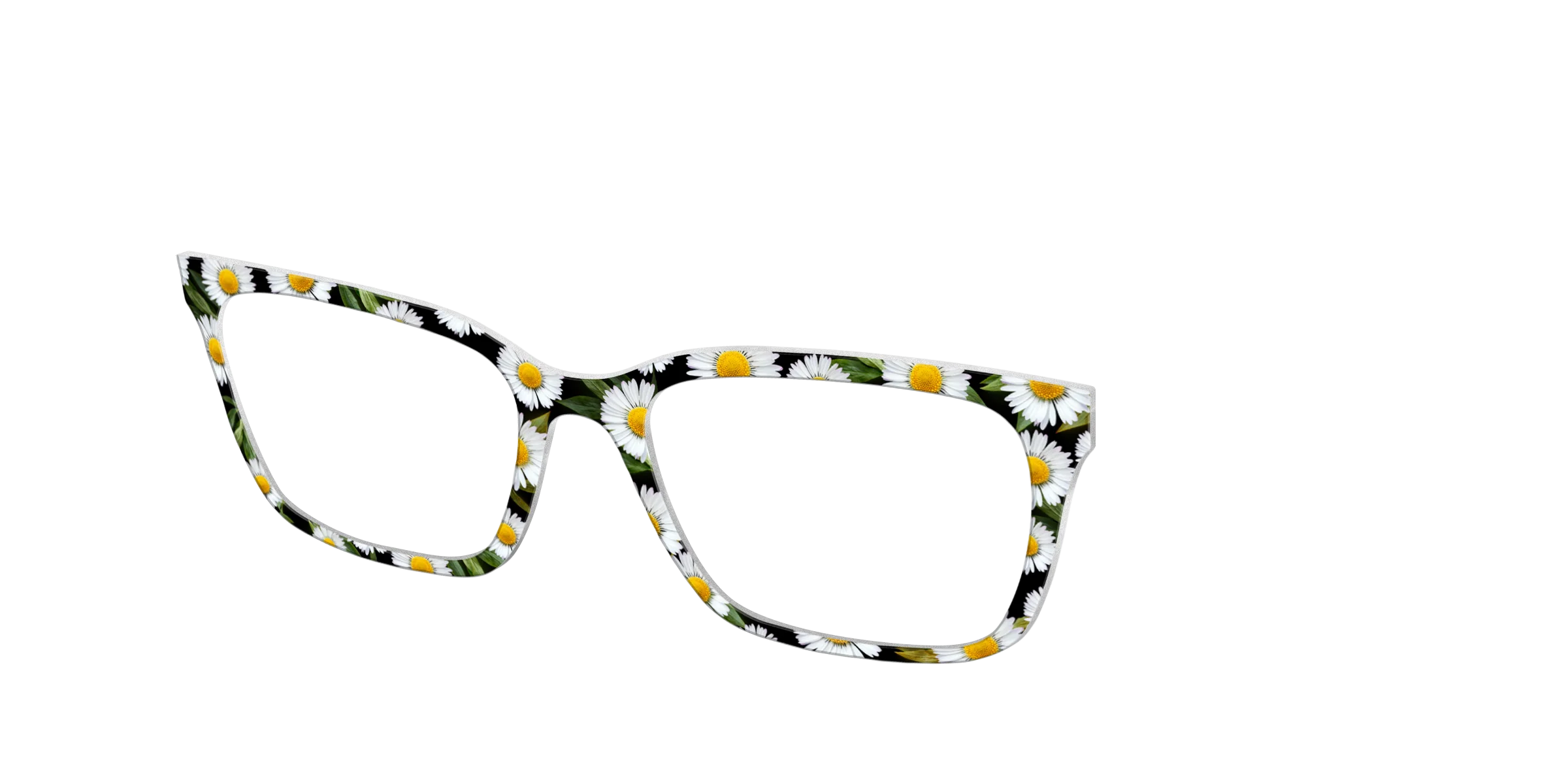 The Delicate Daisies - Image 10